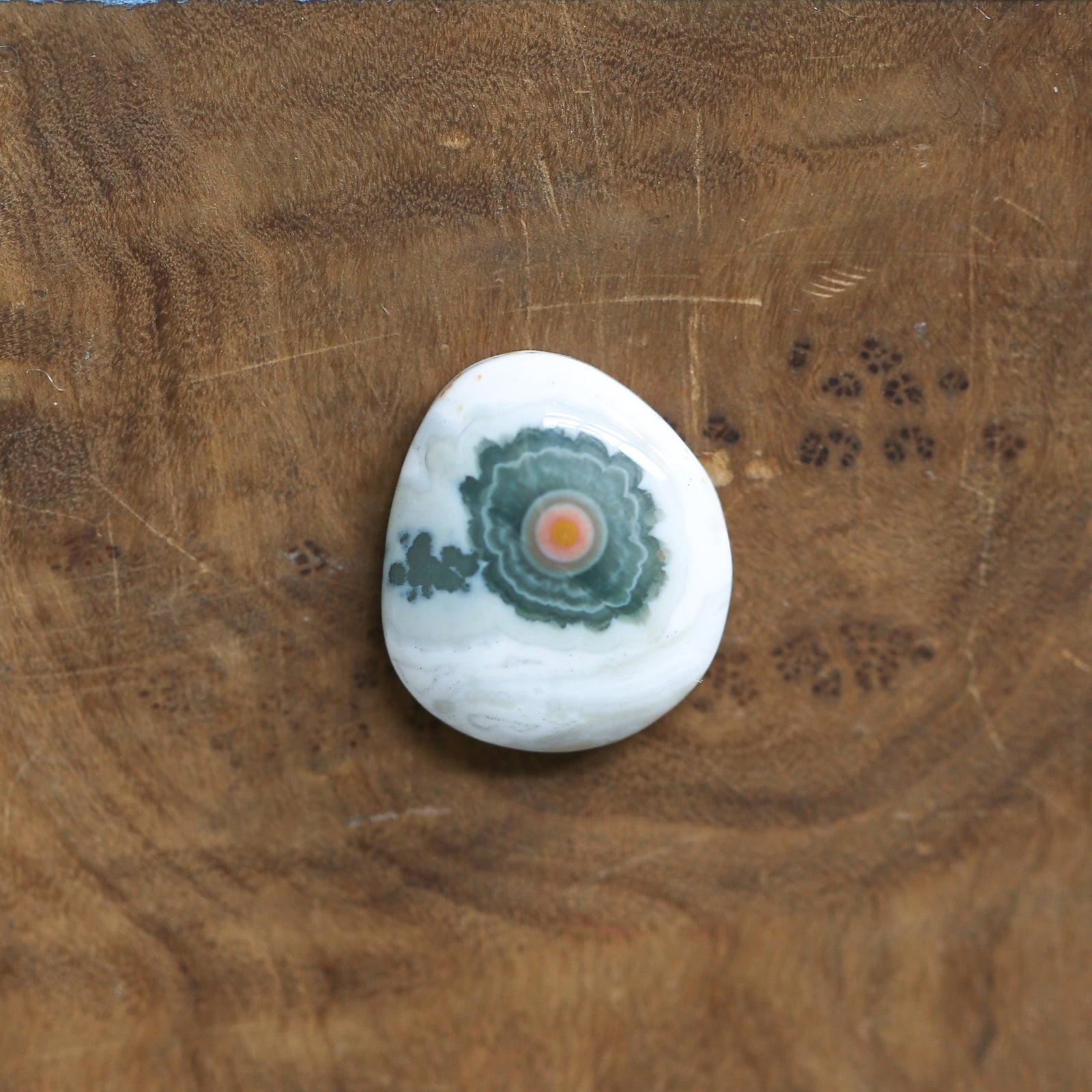 Chunky Ocean Jasper Ring - Choose Your Stone - .925 Sterling Silver