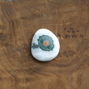 Chunky Ocean Jasper Ring - Choose Your Stone - .925 Sterling Silver