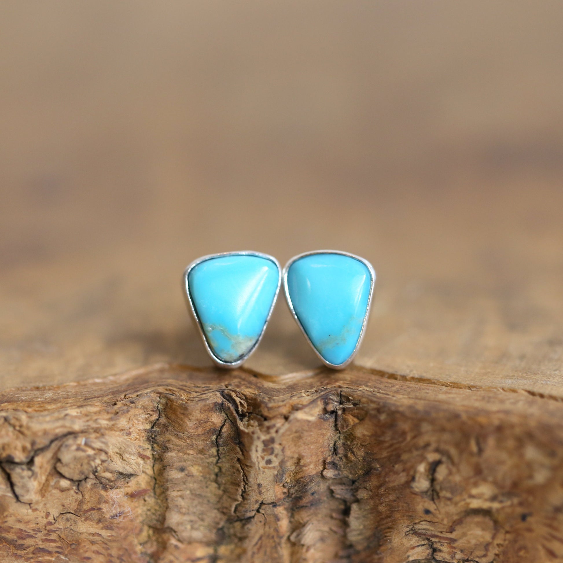 Campitos Turquoise Sterling Silver Studs – American Turquoise Earrings