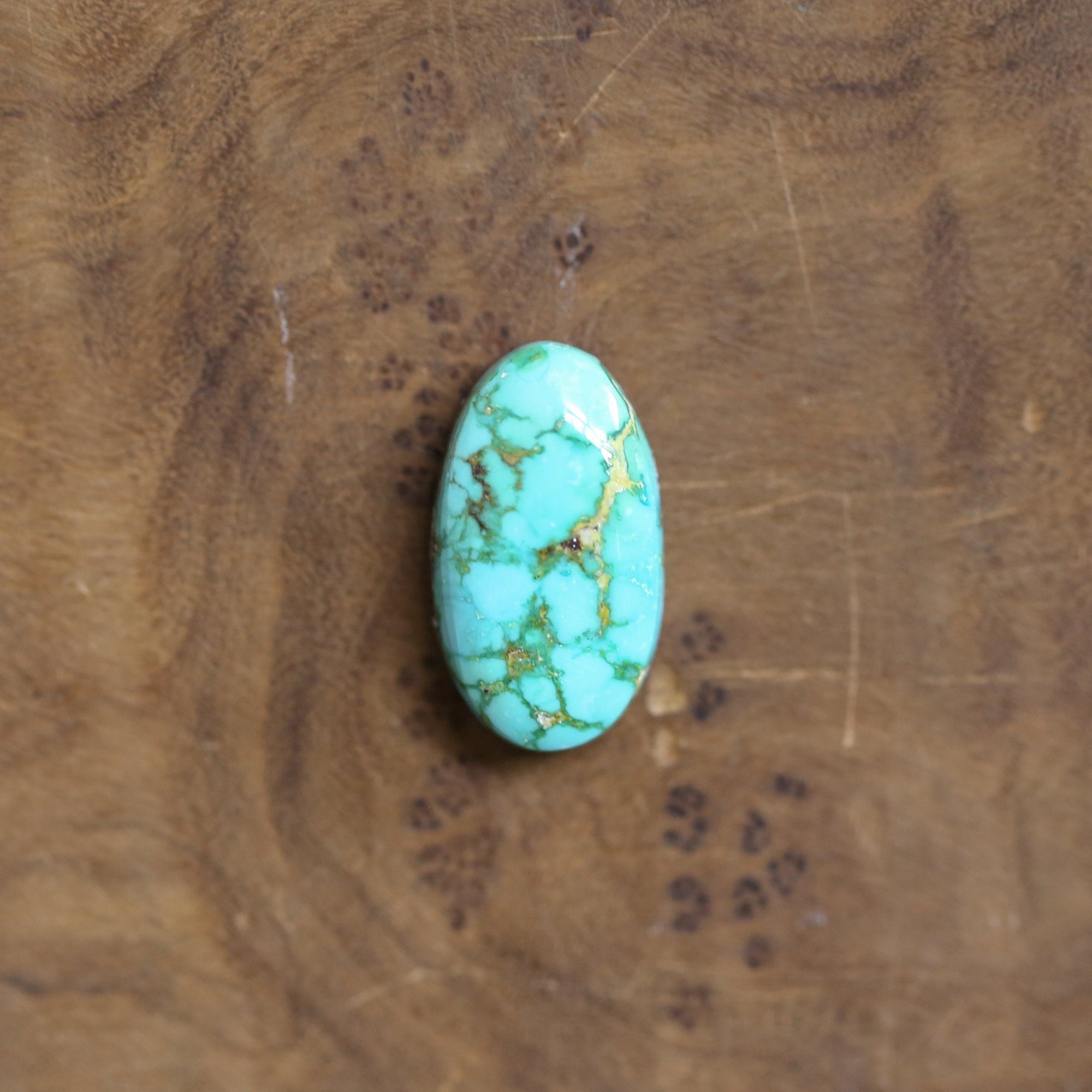 Sonoran Gold Turquoise Ring - OOAK Turquoise Ring - Choose Your Ring - Sterling Silver