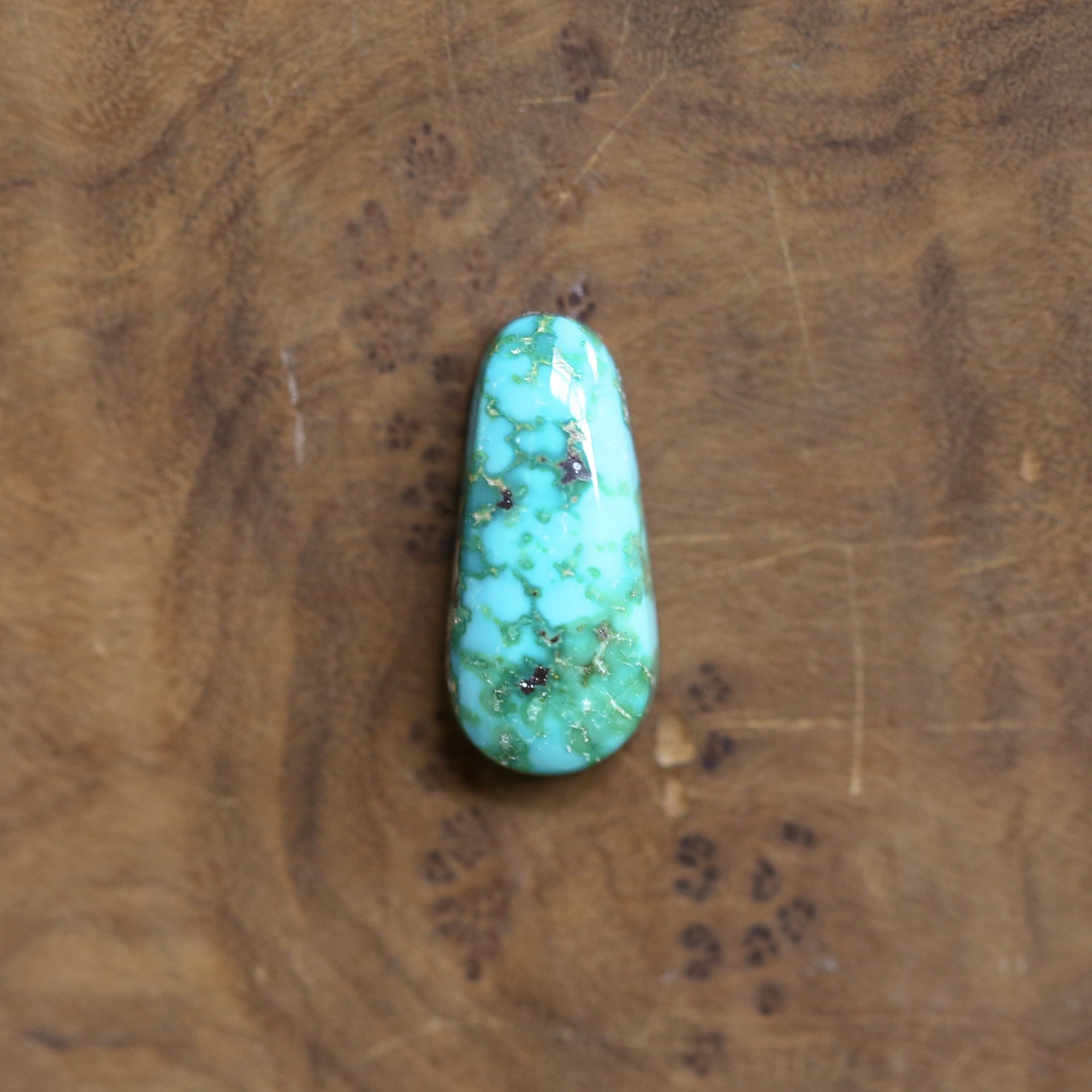 Sonoran Gold Turquoise Ring - OOAK Turquoise Ring - Choose Your Ring - Sterling Silver