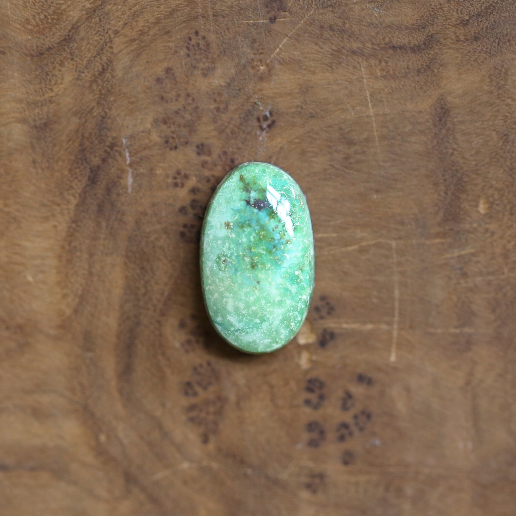 Sonoran Gold Turquoise Ring - OOAK Turquoise Ring - Choose Your Ring - Sterling Silver