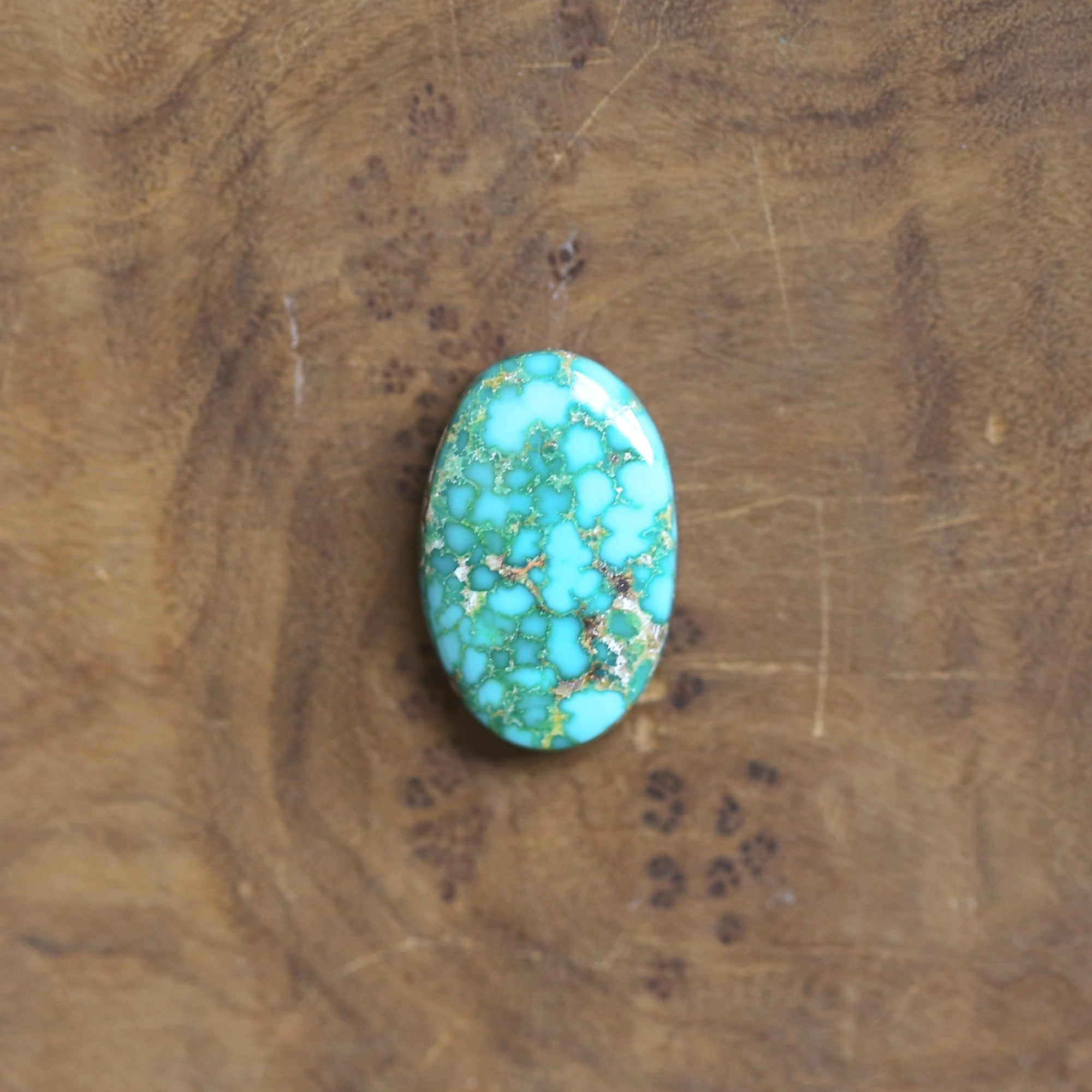 Sonoran Gold Turquoise Ring - 18K Gold Bezel - Sterling Silver