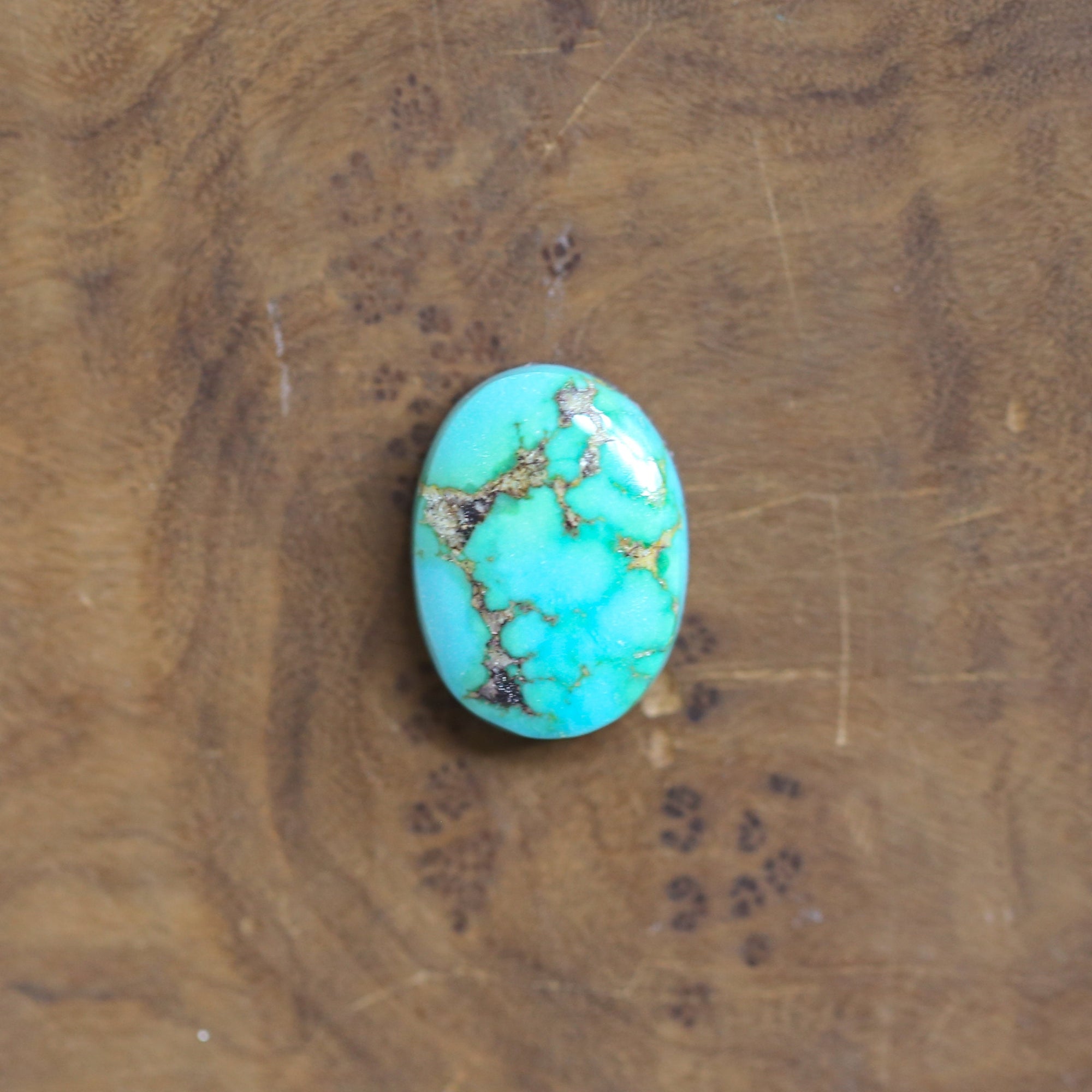 Sonoran Gold Turquoise Ring - 18K Gold Bezel - Sterling Silver