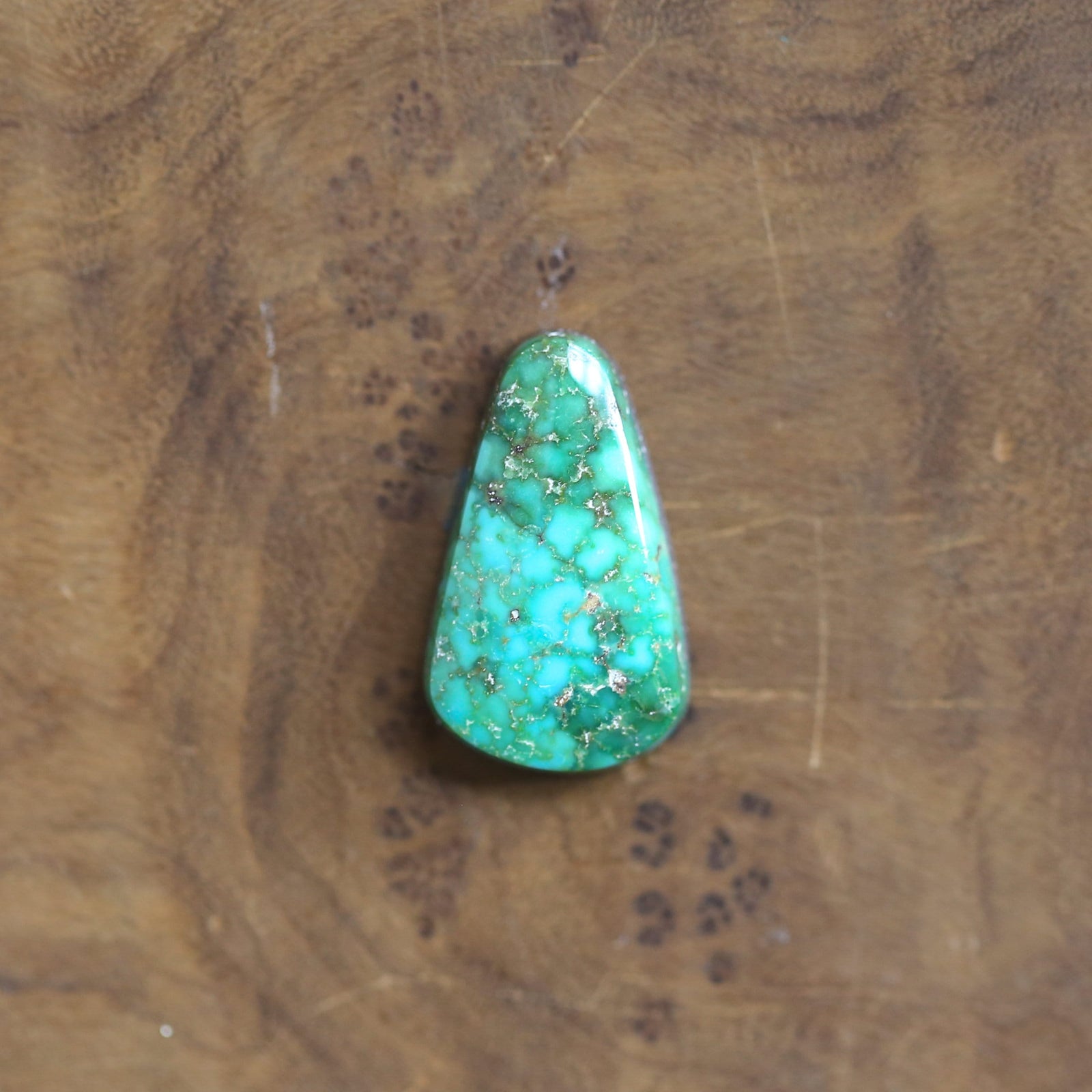 Sonoran Gold Turquoise Ring - 18K Gold Bezel - Sterling Silver