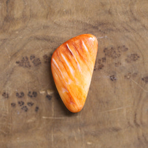 Custom Spiny Oyster Pendant - Choose Your Stone - Sterling Silver