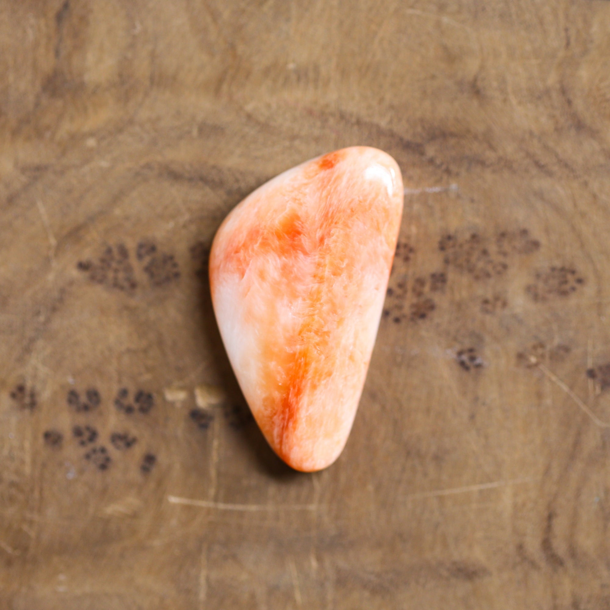 Custom Spiny Oyster Pendant - Choose Your Stone - Sterling Silver