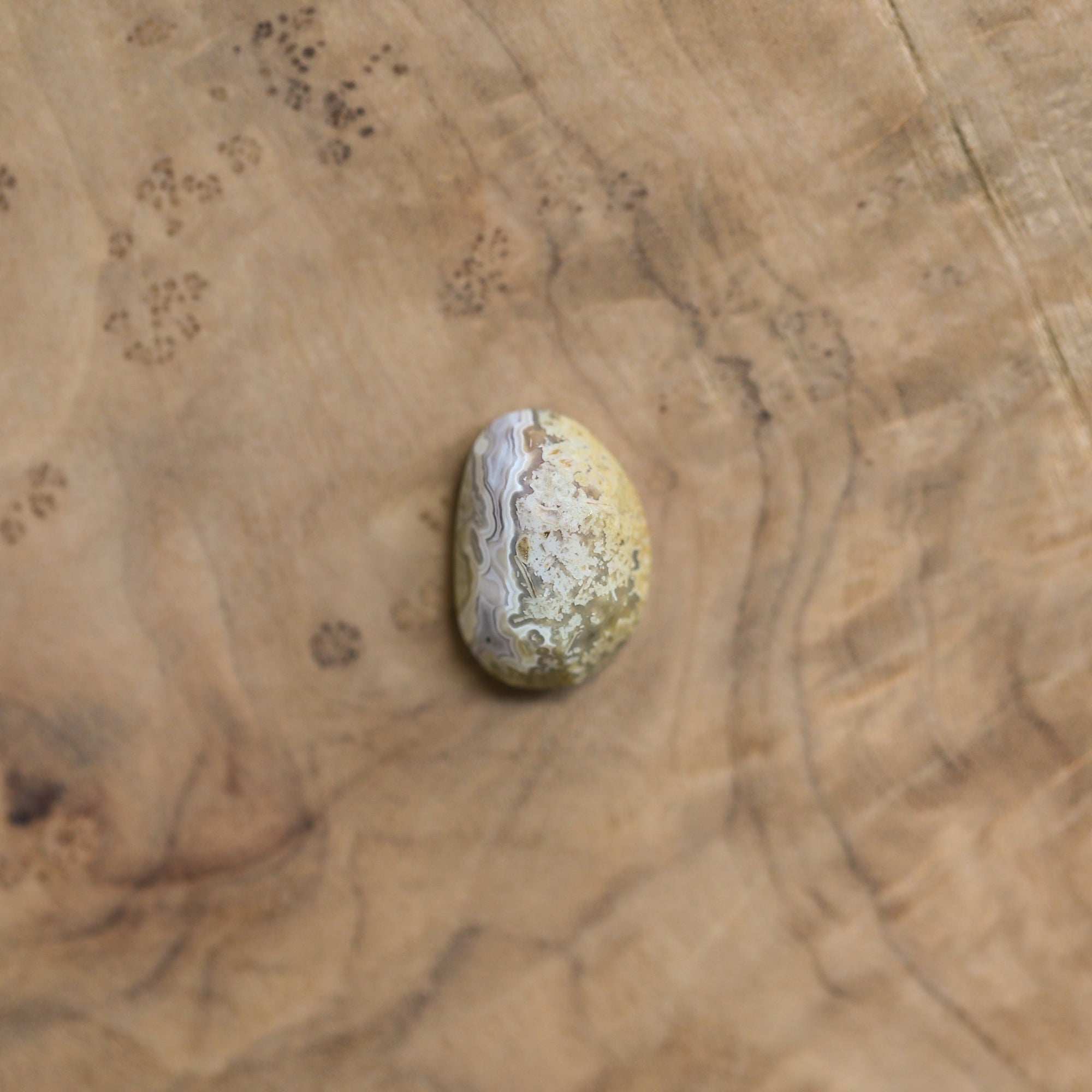 Laguna Lace Agate Pendant - 925 Sterling Silver - Rose Cut Agate Necklace