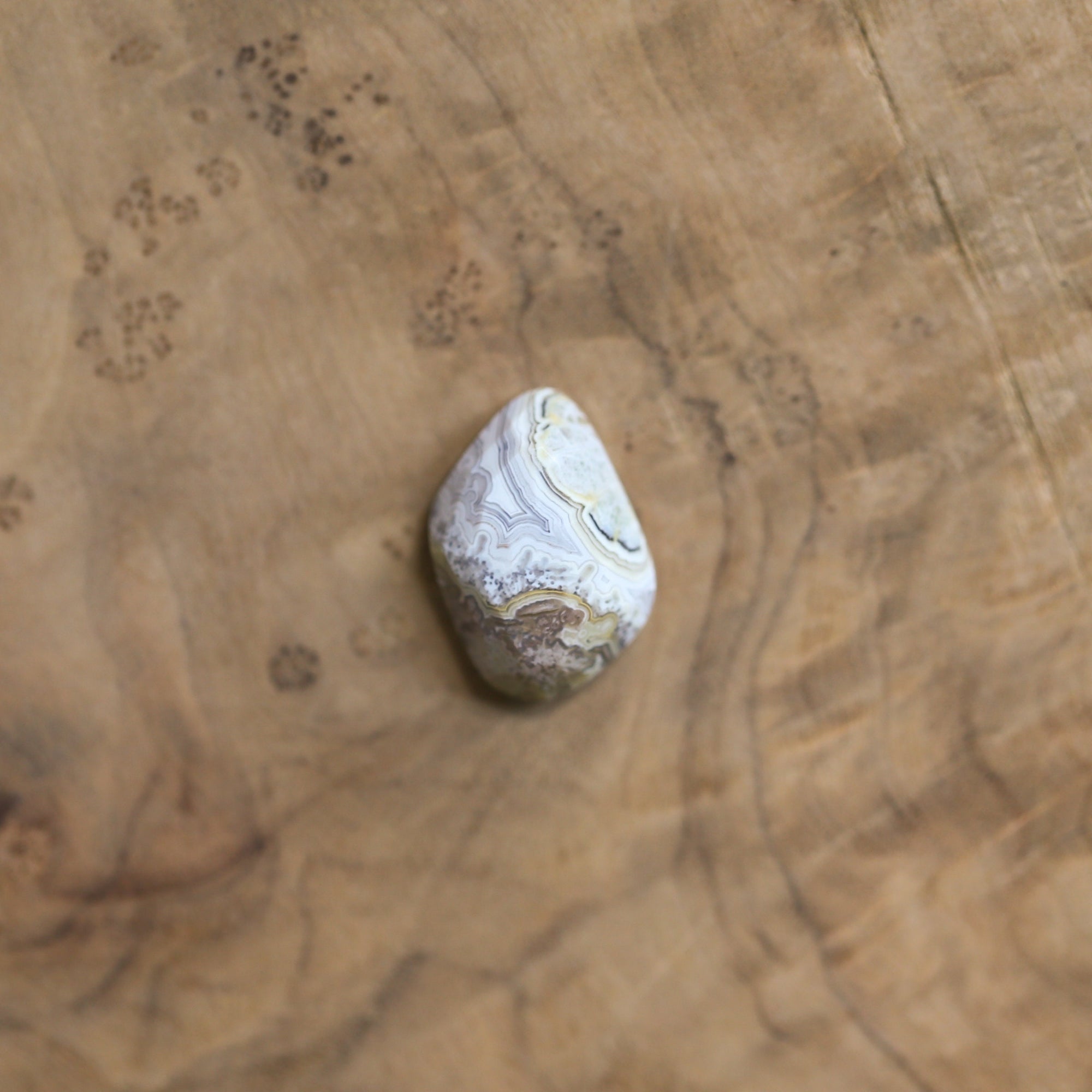 Laguna Lace Agate Pendant - 925 Sterling Silver - Rose Cut Agate Necklace