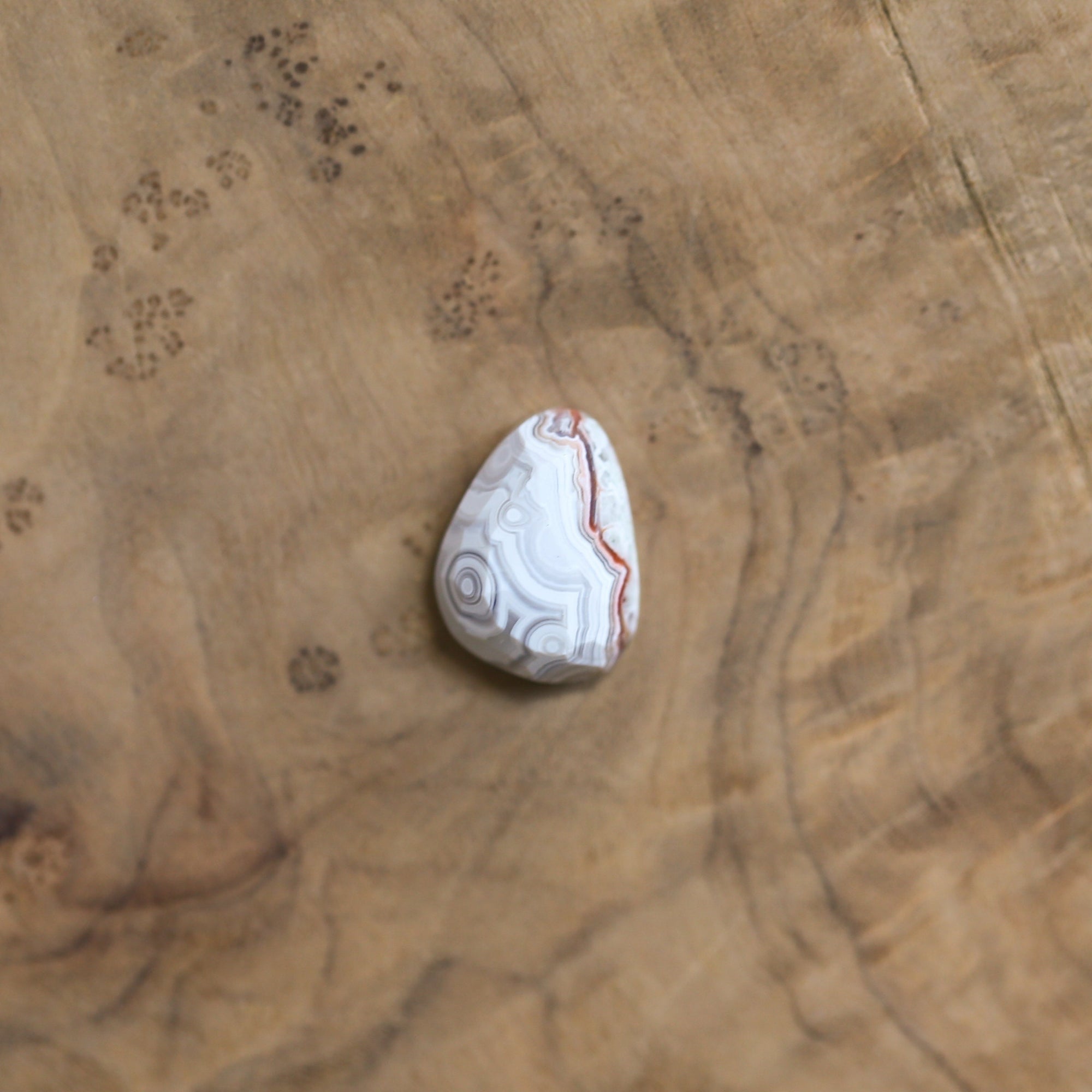 Laguna Lace Agate Pendant - 925 Sterling Silver - Rose Cut Agate Necklace