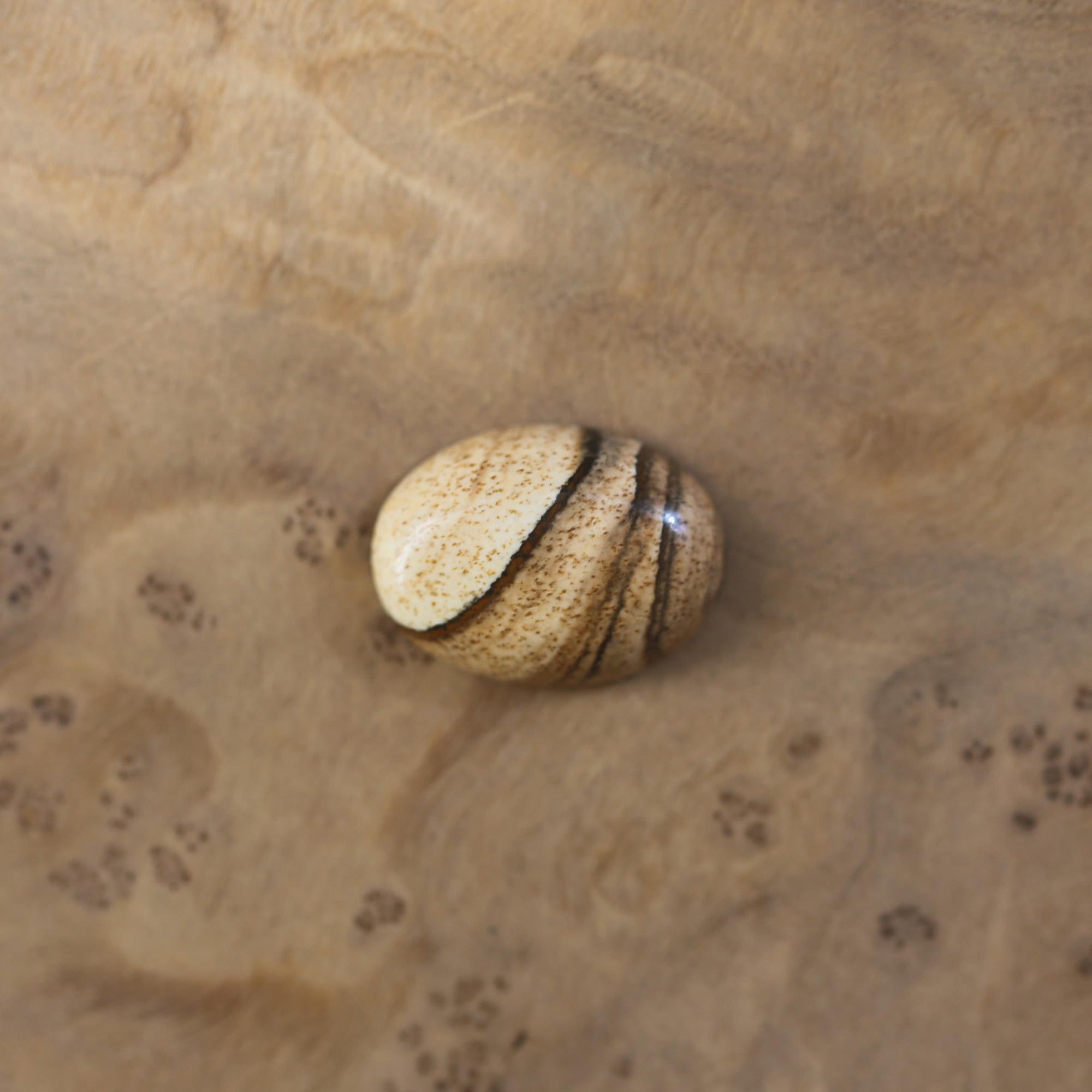 Custom Picture Jasper Ring East West Oval Ring - Sterling Silver - Choose Your Stone