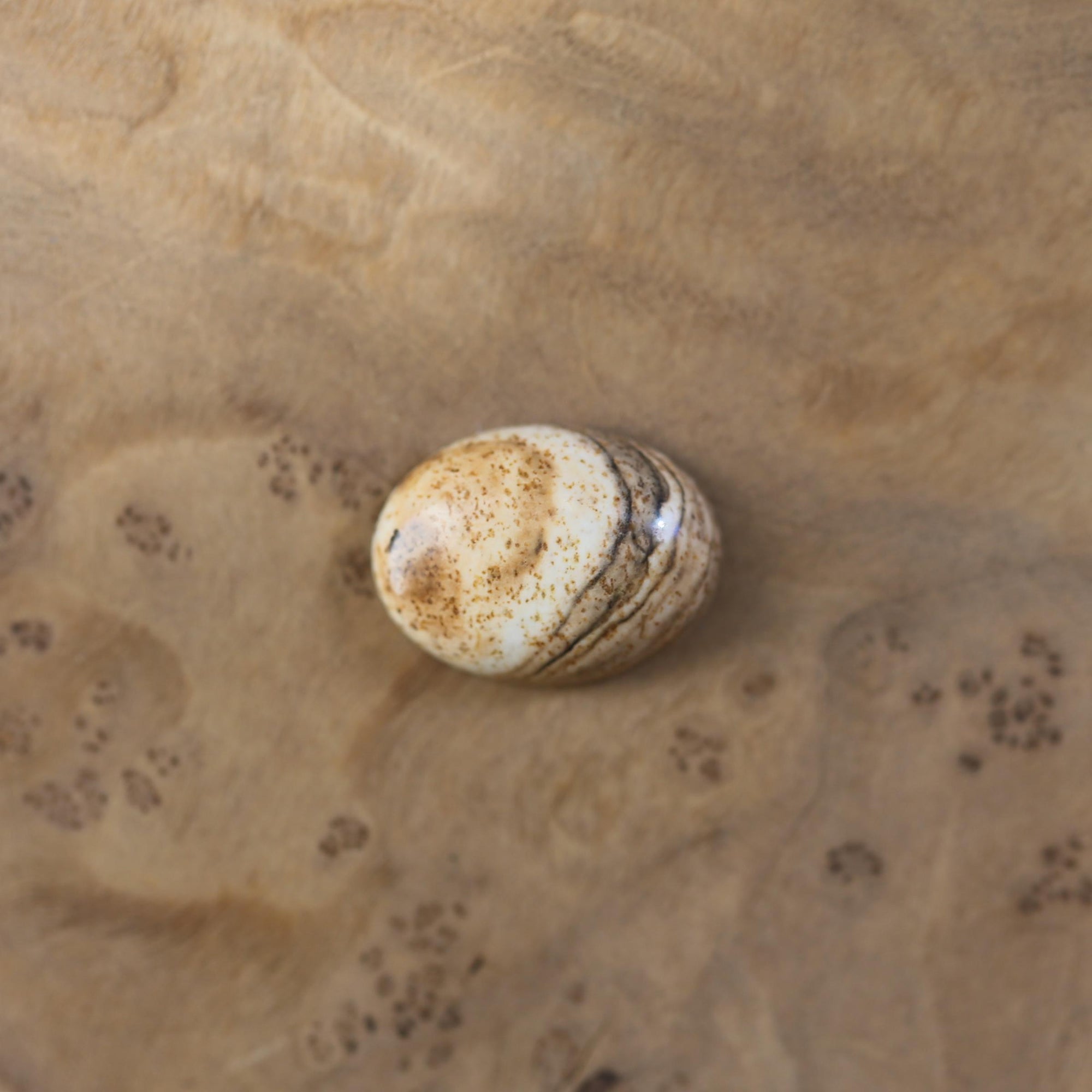 Custom Picture Jasper Ring East West Oval Ring - Sterling Silver - Choose Your Stone