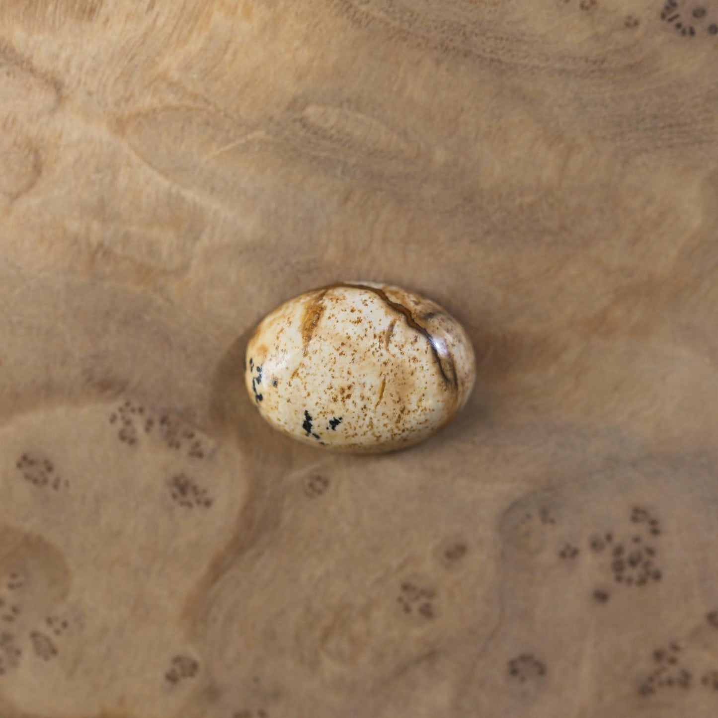 Custom Picture Jasper Ring East West Oval Ring - Sterling Silver - Choose Your Stone