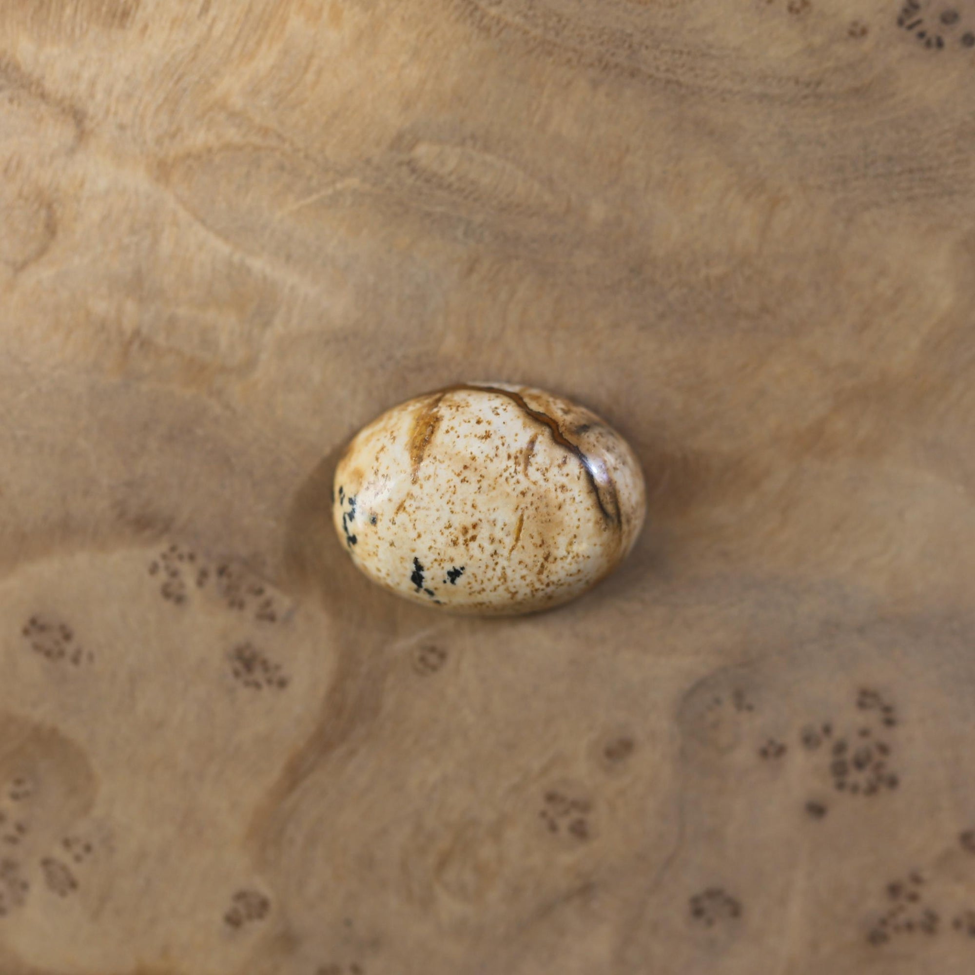 Custom Picture Jasper Ring East West Oval Ring - Sterling Silver - Choose Your Stone