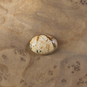 Picture Jasper East West Ring - Picture Jasper Ring - .925 Sterling Silver - Silversmith - OOAK