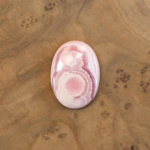 Rhodochrosite Bolo - Choose your Stone - Sterling Silver - Italian Leather - OOAK