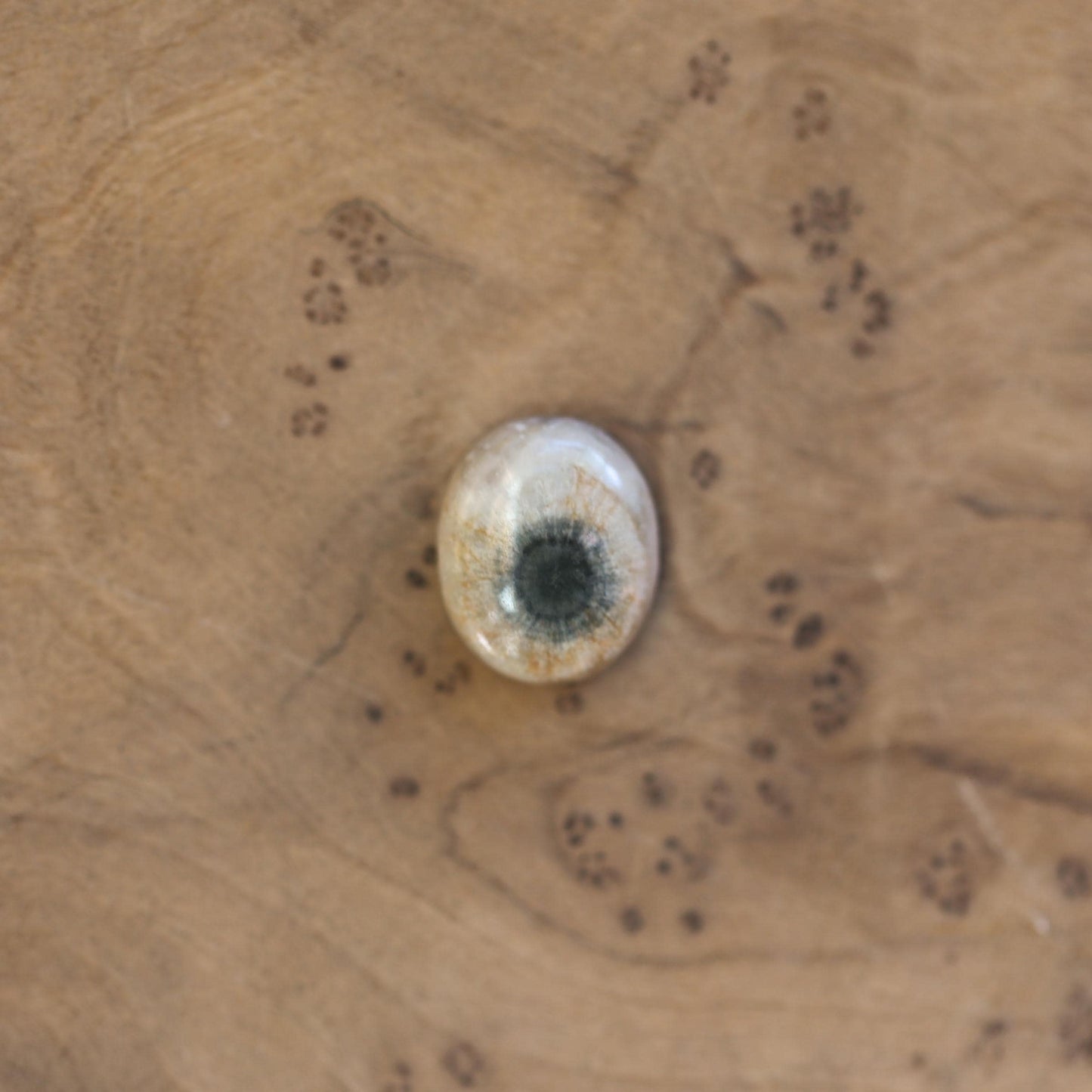 Ocean Jasper Delica Ring – Sterling Silver, Choose Your Stone