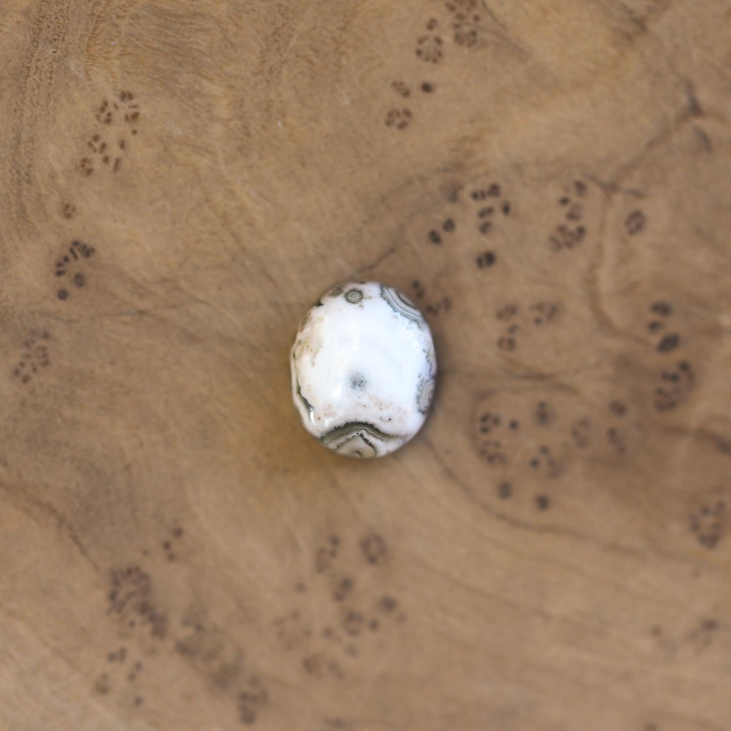 Ocean Jasper Delica Ring – Sterling Silver, Choose Your Stone
