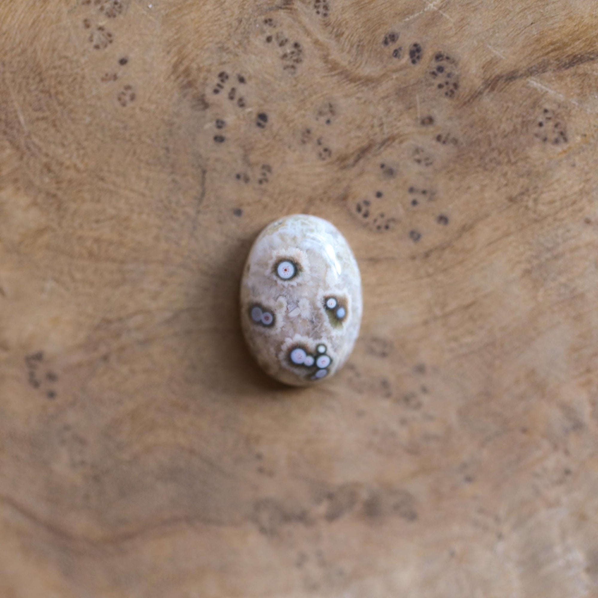 Ocean Jasper Ring - Choose your own stone - Solid 14K Gold Prongs - Silversmith