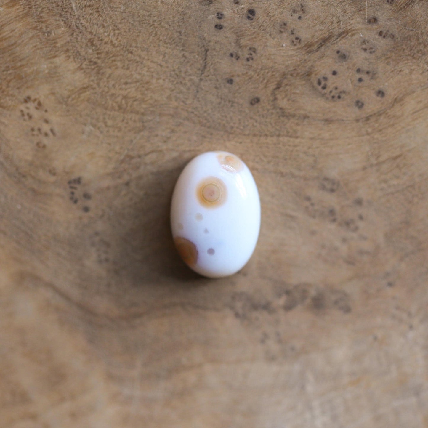 Custom Ocean Jasper Ring - Choose your stone - 14K Gold Prongs - Silversmith