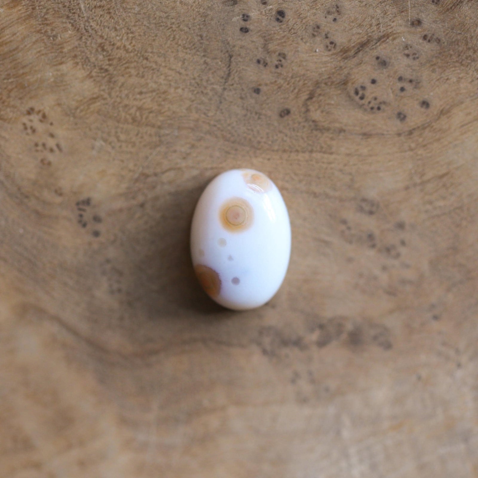 Ocean Jasper Ring - Choose your own stone - Solid 14K Gold Prongs - Silversmith