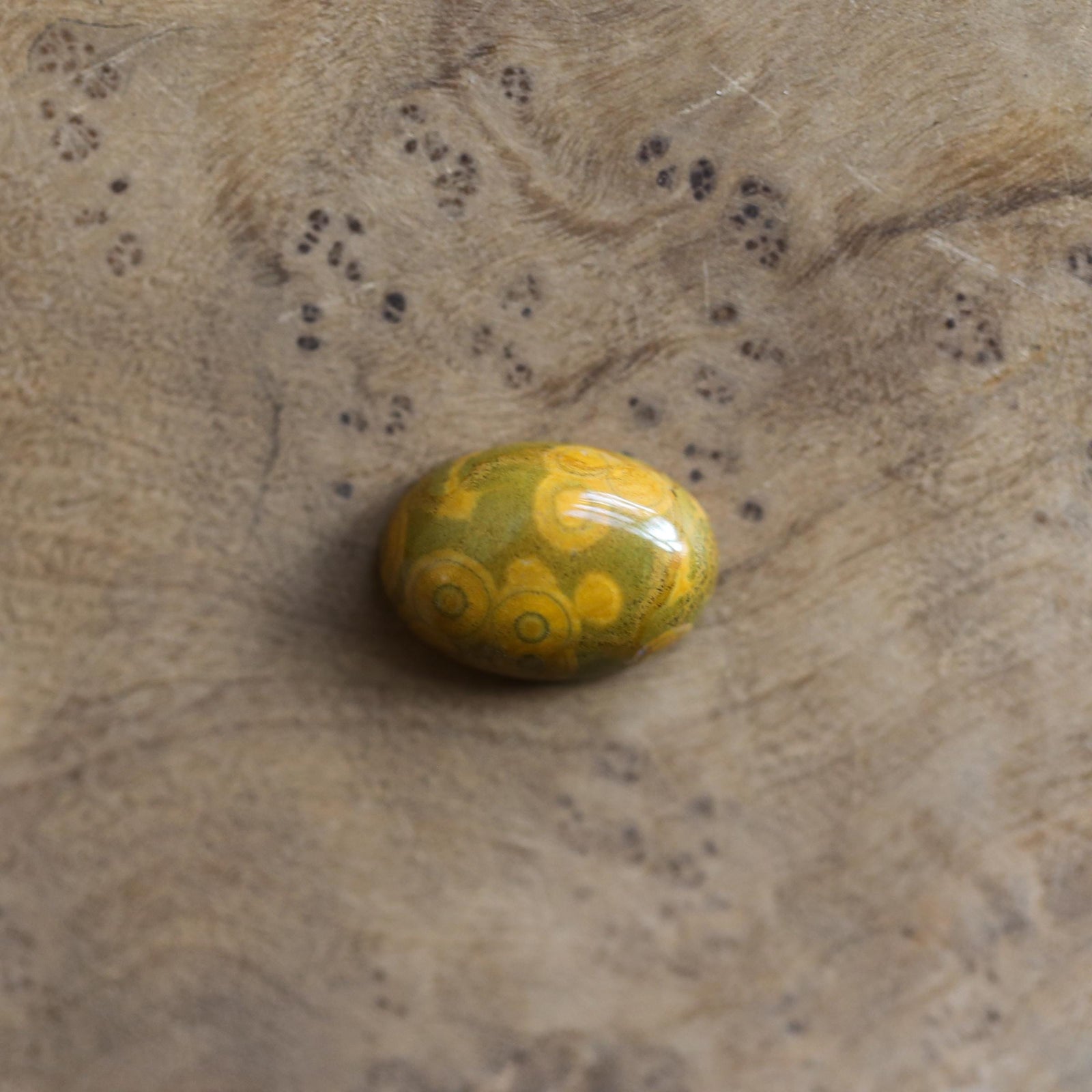 Custom Ocean Jasper Ring - East West Oval - Choose Your Stone