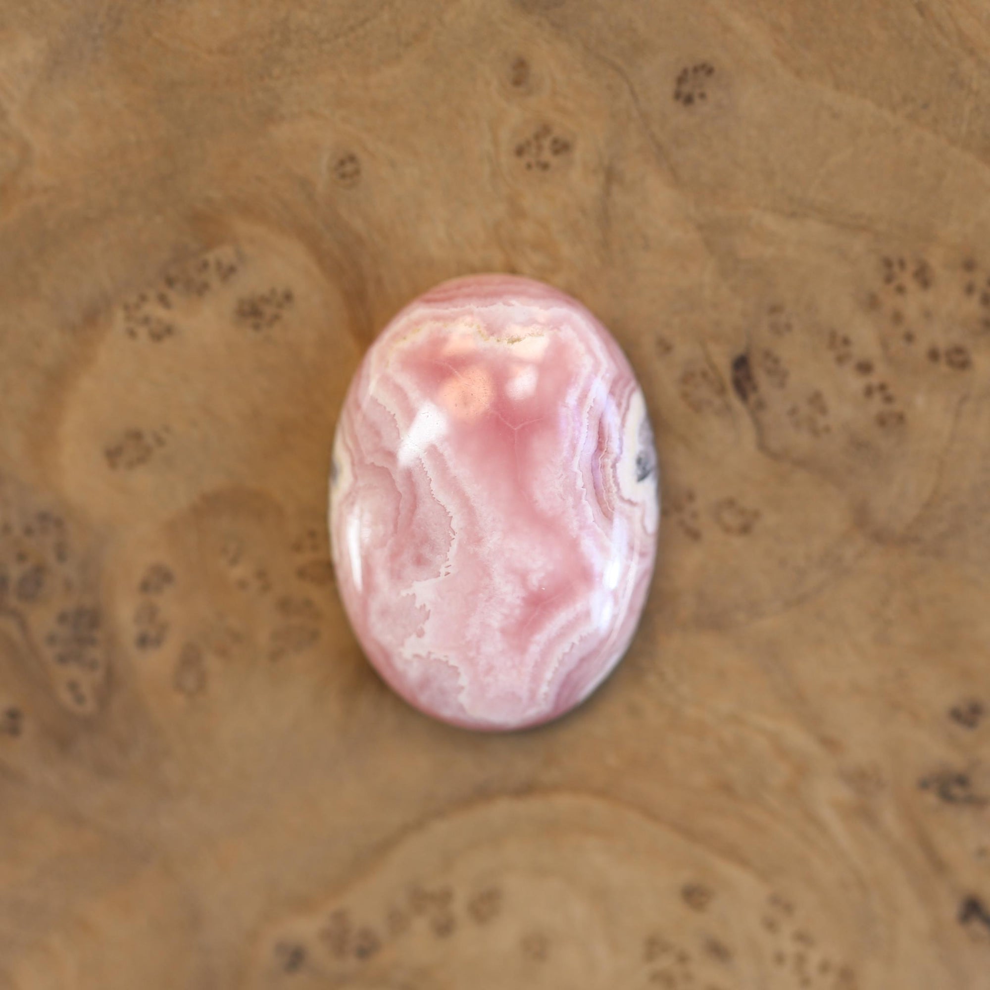 Rhodochrosite Bolo - Choose your Stone - Sterling Silver - Italian Leather - OOAK