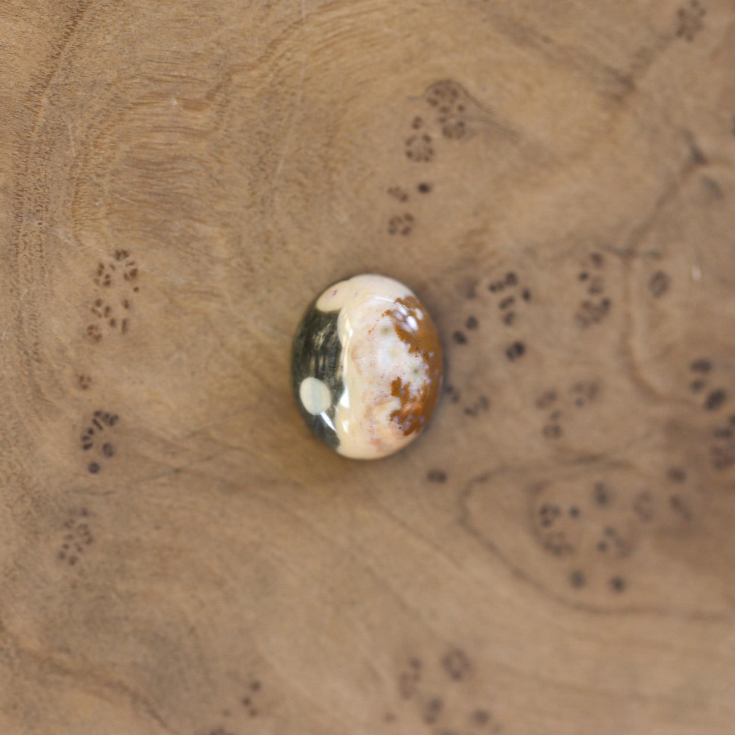 Ocean Jasper Delica Ring – Sterling Silver, Choose Your Stone