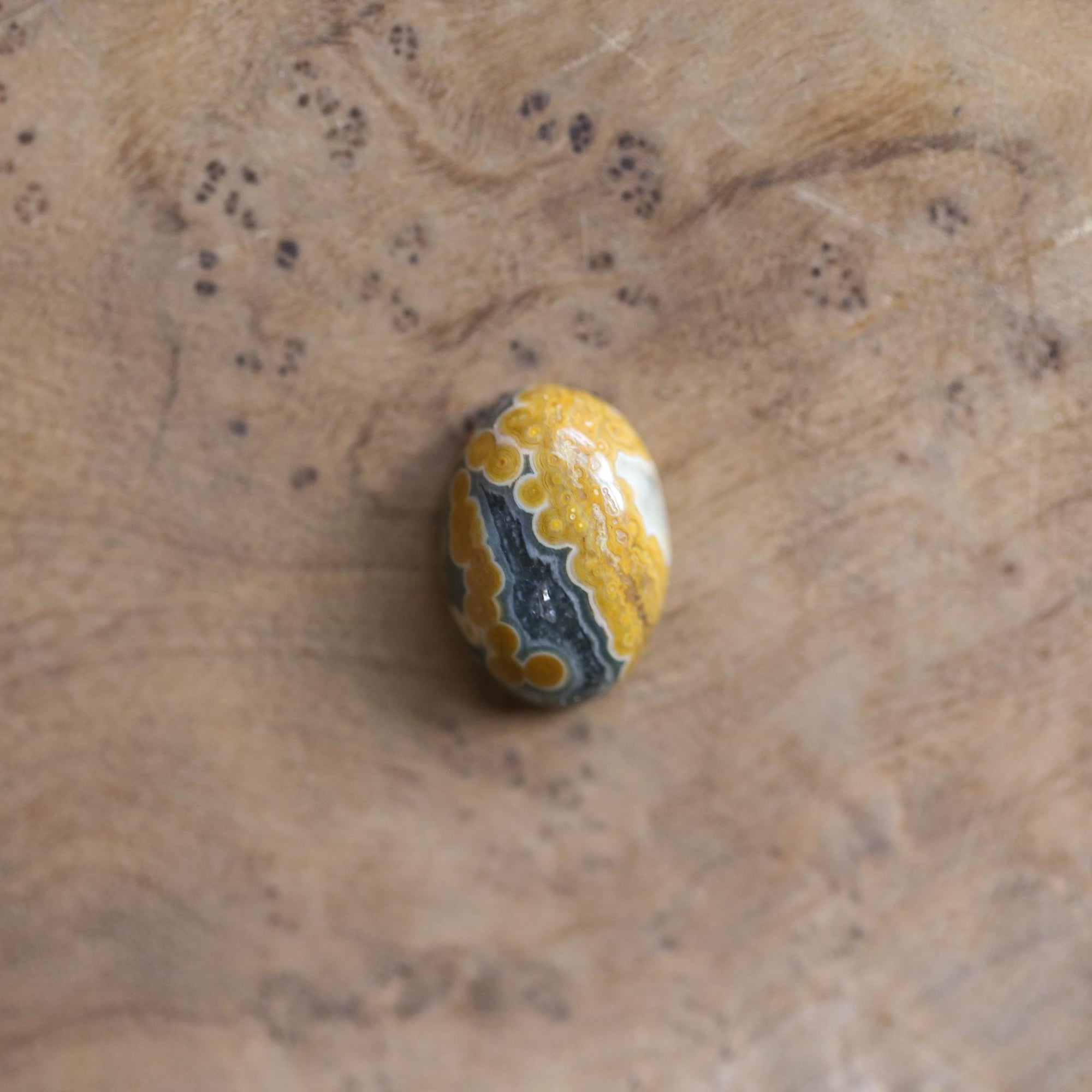 Ocean Jasper Ring - Choose your own stone - Solid 14K Gold Prongs - Silversmith