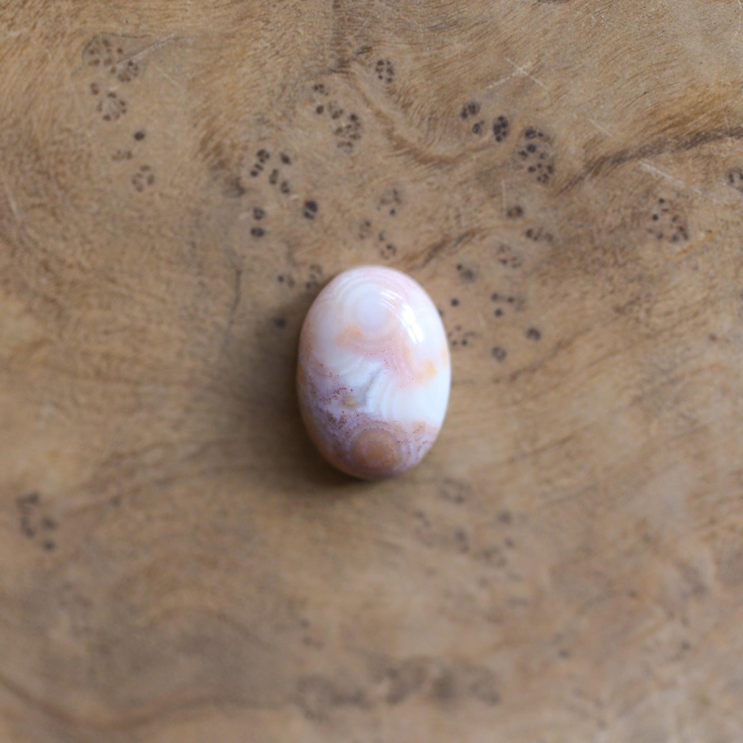 Custom Ocean Jasper Ring - Choose your stone - 14K Gold Prongs - Silversmith