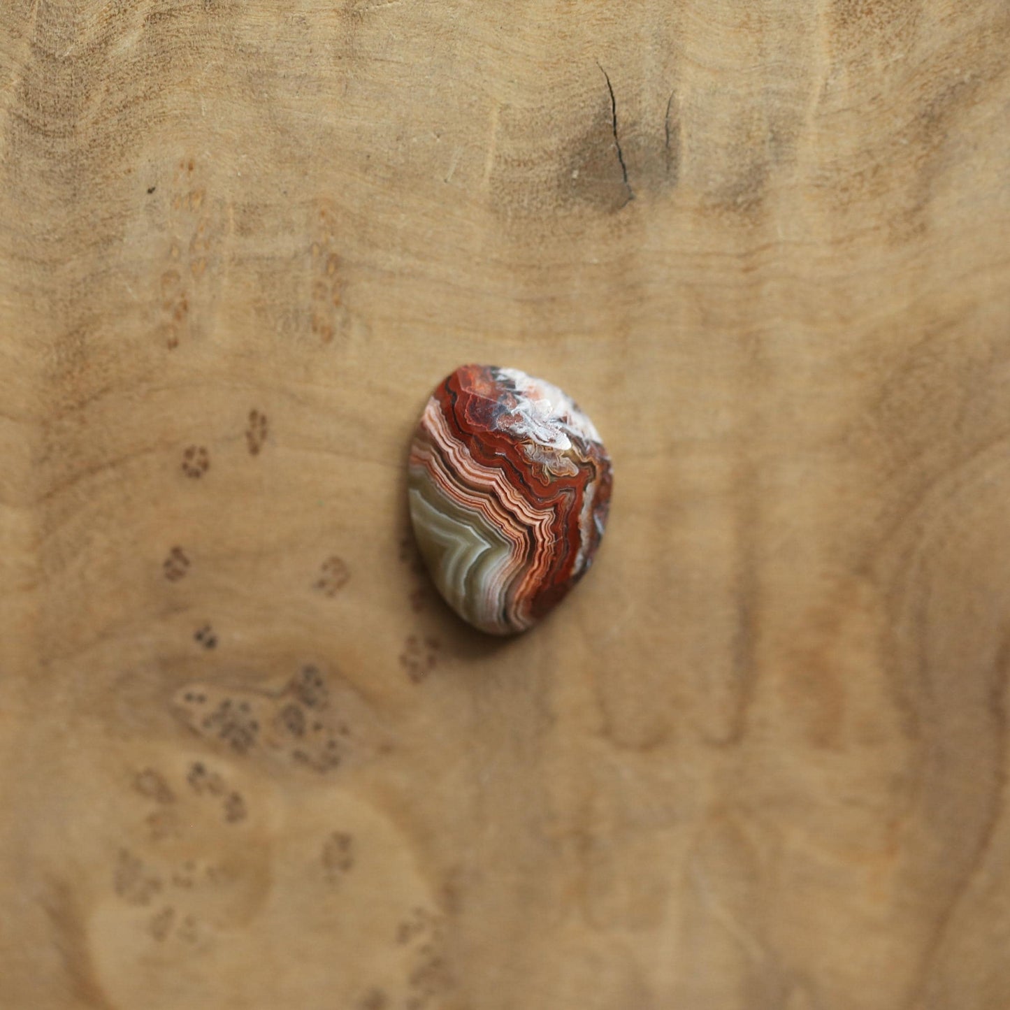Crazy Lace Agate Pendant - Sterling Silver - Choose Your Stone