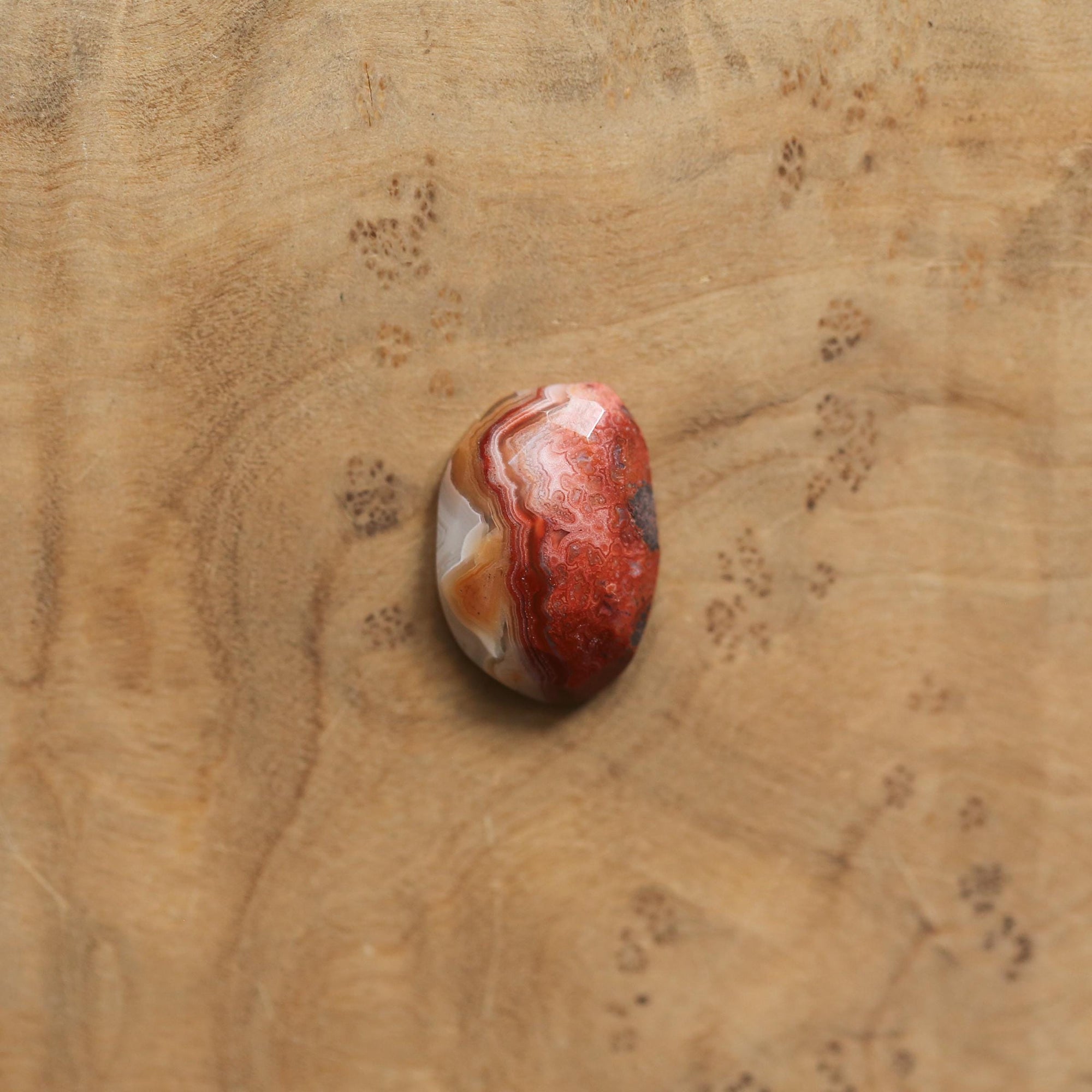 Crazy Lace Agate Pendant - Silversmith - .925 Sterling Silver - Rose Cut Crazy Lace Agate Necklace