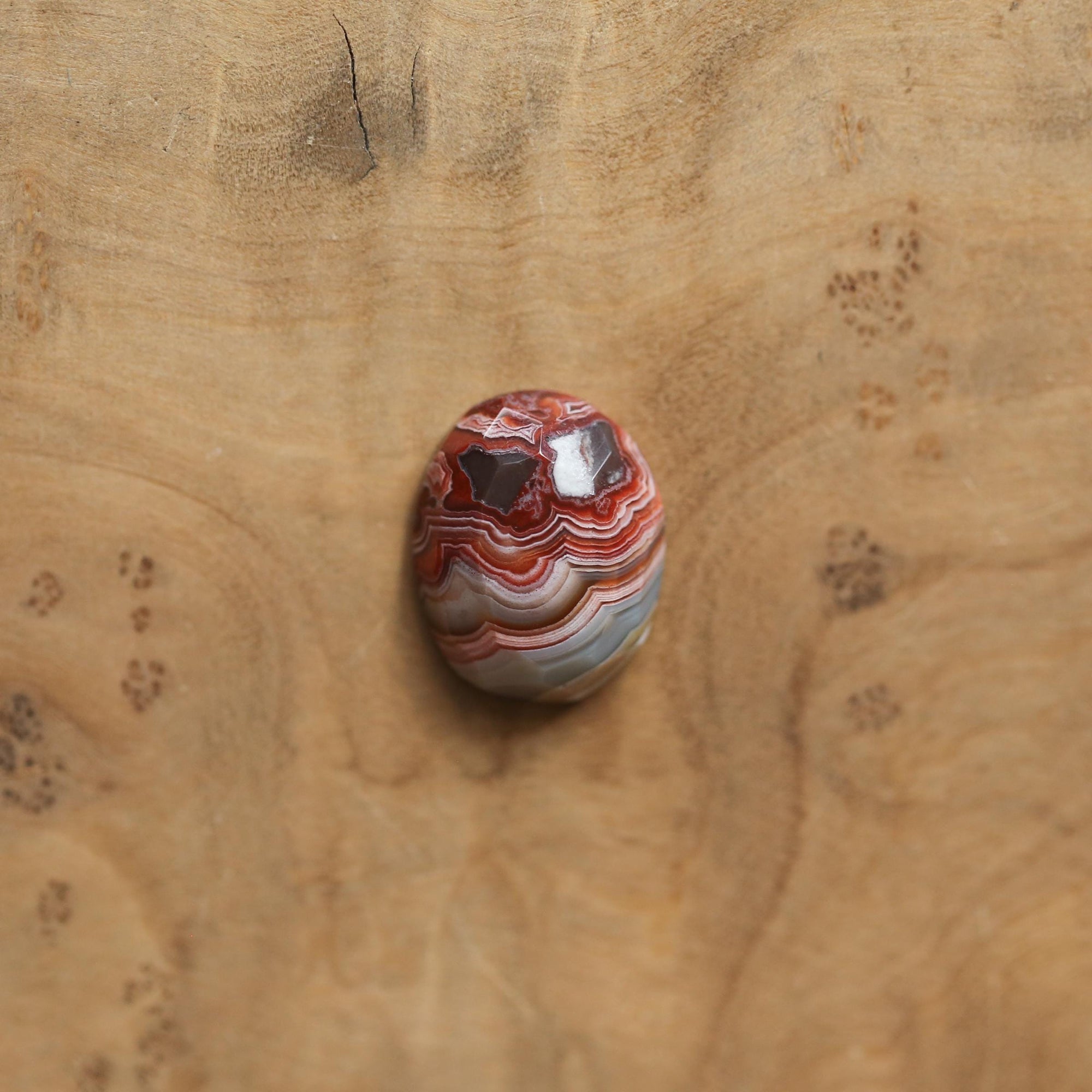 Crazy Lace Agate Pendant - Silversmith - .925 Sterling Silver - Rose Cut Crazy Lace Agate Necklace