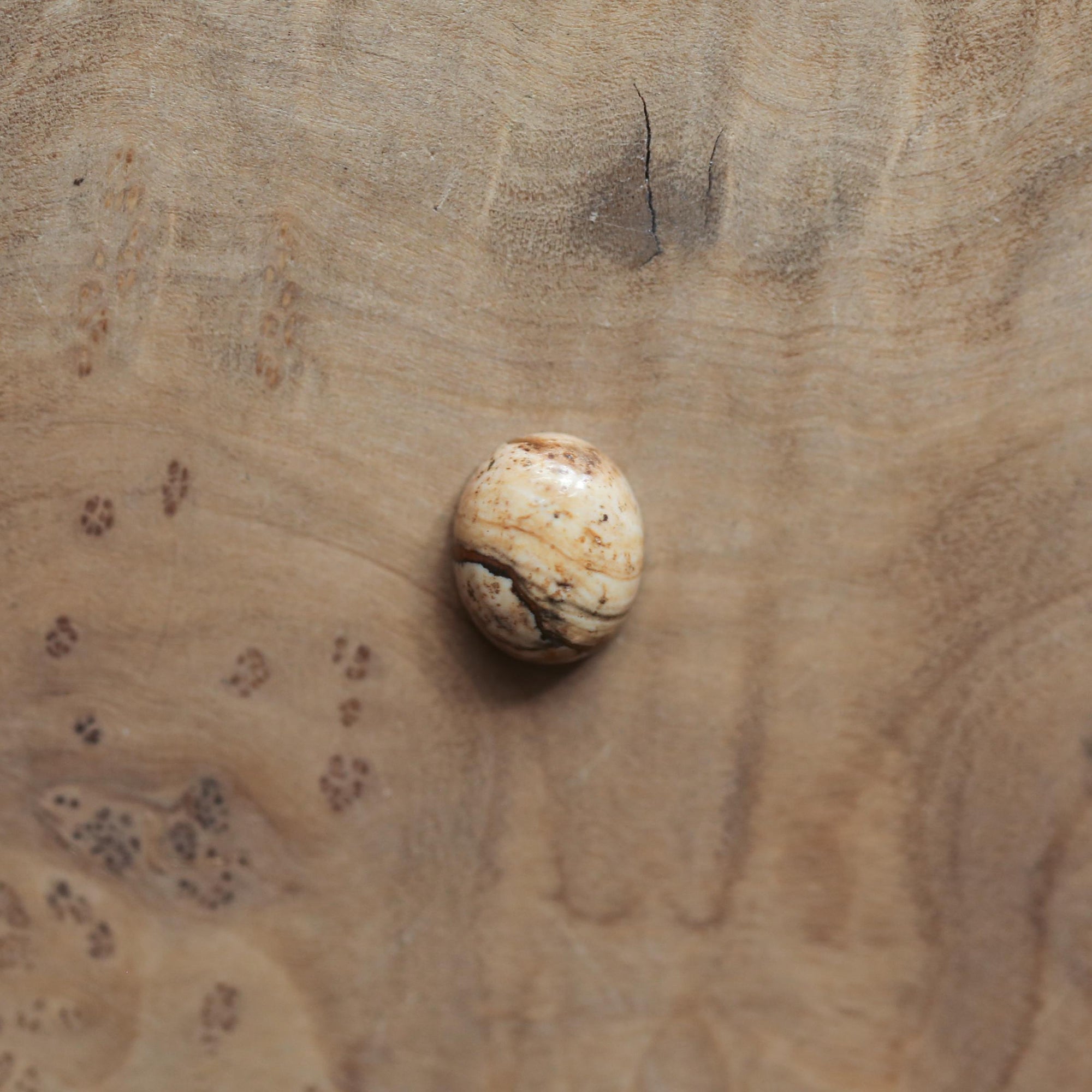 Picture Jasper Delica Ring - Picture Jasper Ring - .925 Sterling Silver - Silversmith - OOAK