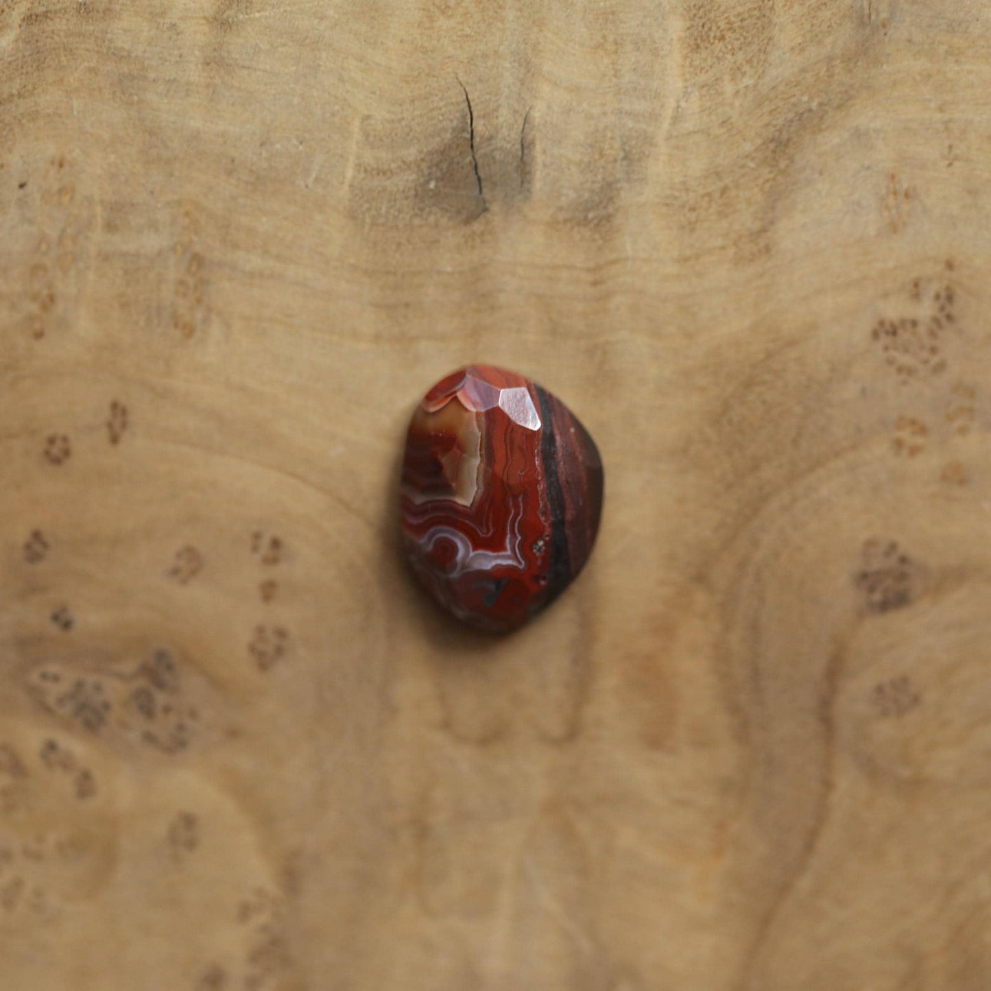 Crazy Lace Agate Pendant - Sterling Silver - Choose Your Stone