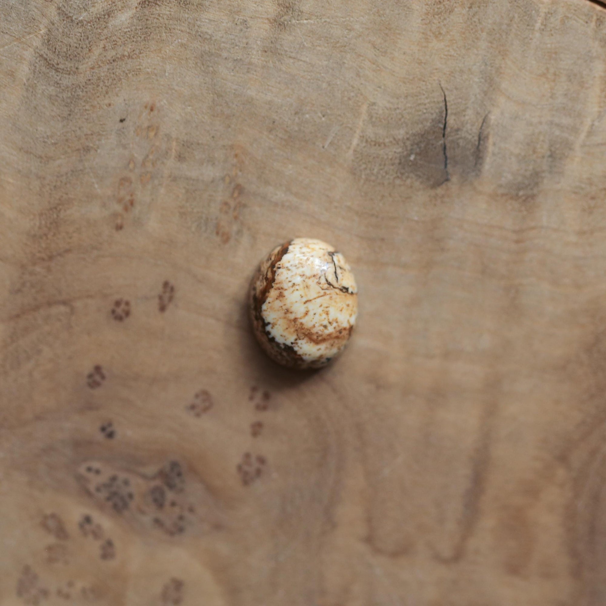 Picture Jasper Delica Ring - Picture Jasper Ring - .925 Sterling Silver - Silversmith - OOAK