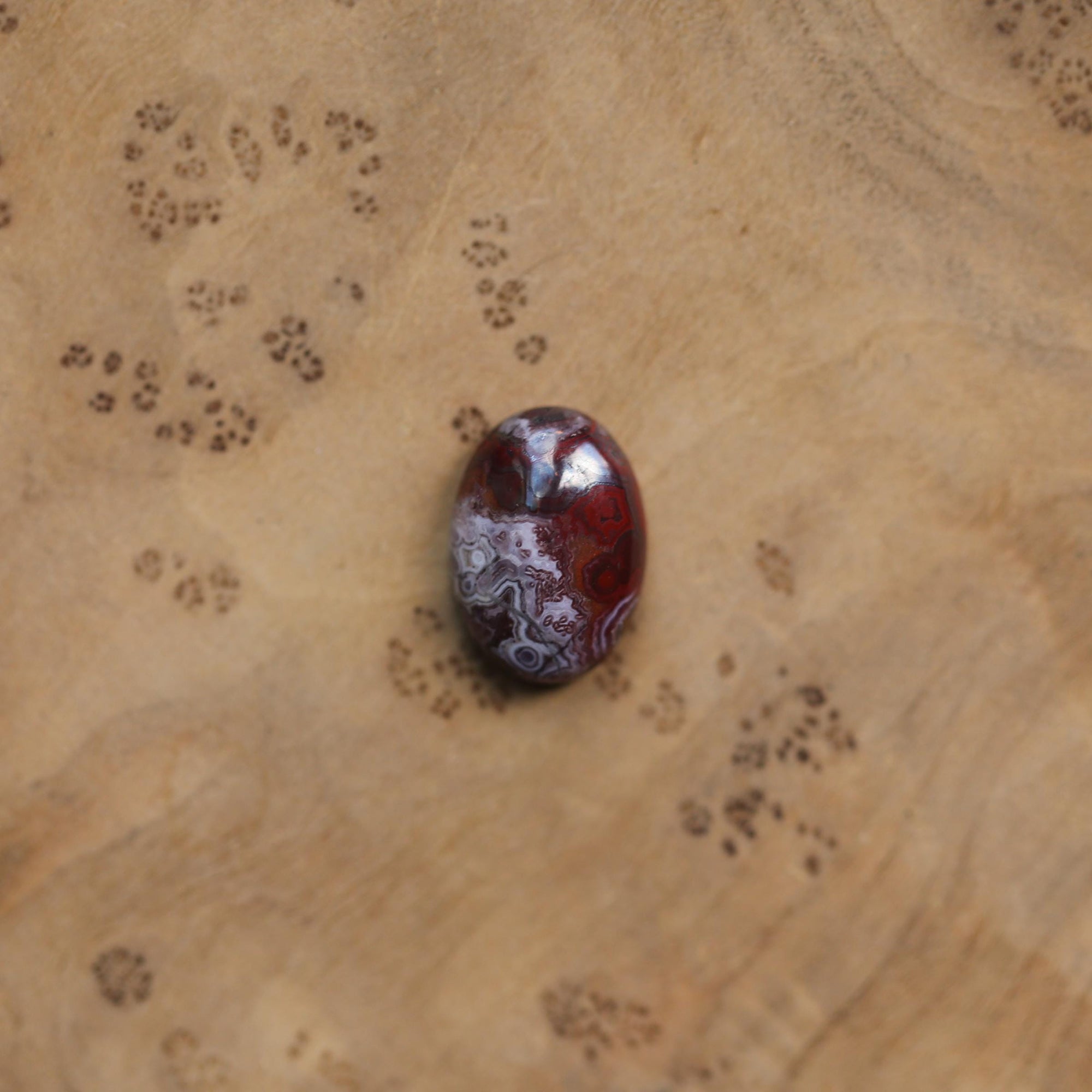 Laguna Lace Agate Lasso Ring - .925 Sterling Silver - Choose Your Own Stone - Silversmith Ring