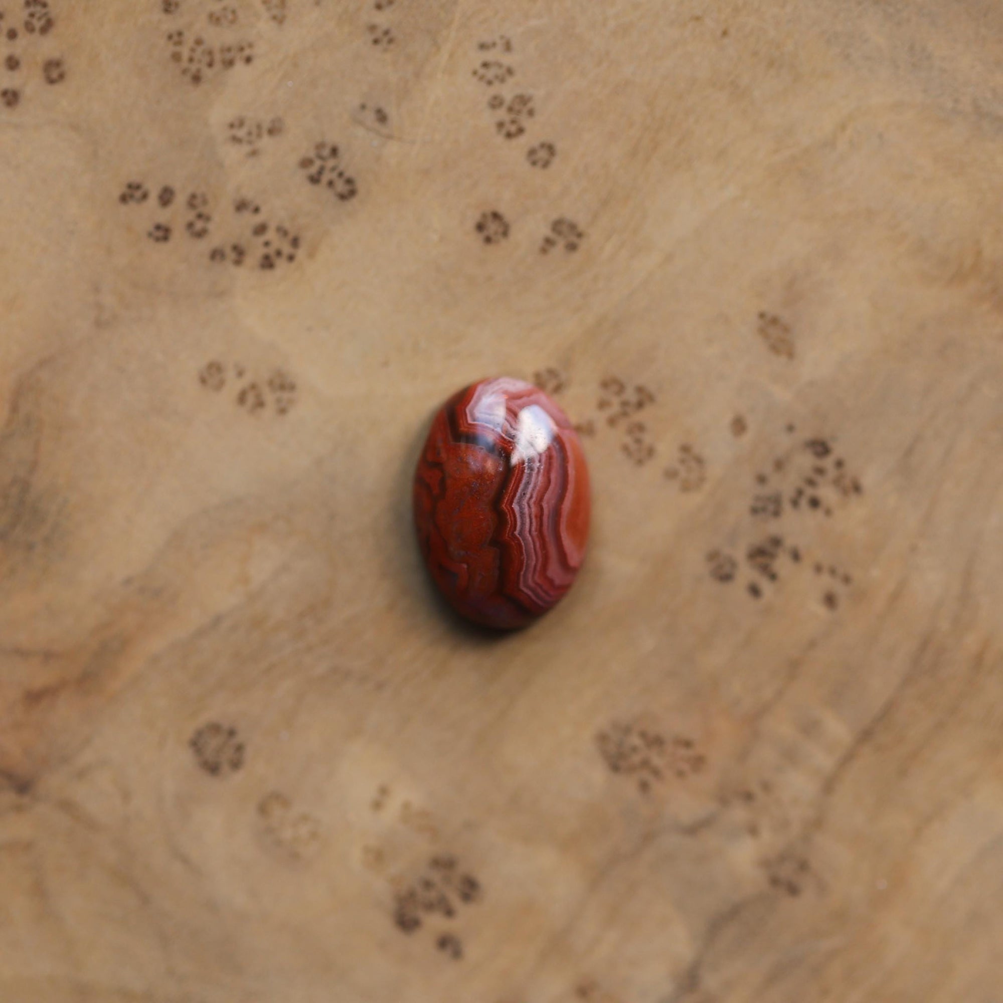 Laguna Lace Agate Lasso Ring - .925 Sterling Silver - Choose Your Own Stone - Silversmith Ring