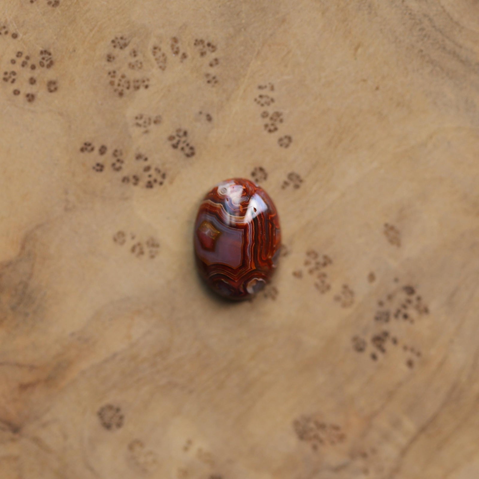 Laguna Lace Agate Lasso Ring - .925 Sterling Silver - Choose Your Own Stone - Silversmith Ring