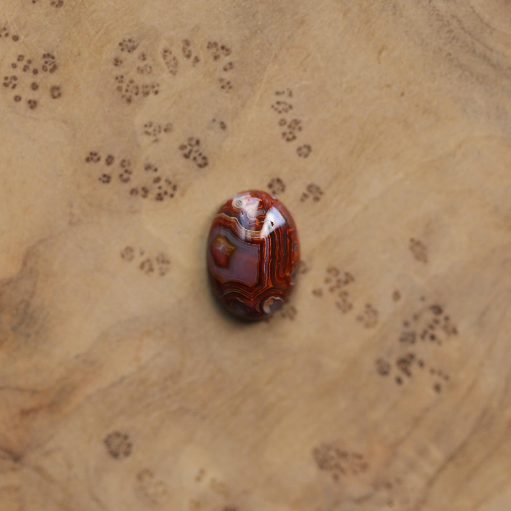 Laguna Lace Agate Lasso Ring - .925 Sterling Silver - Choose Your Own Stone - Silversmith Ring