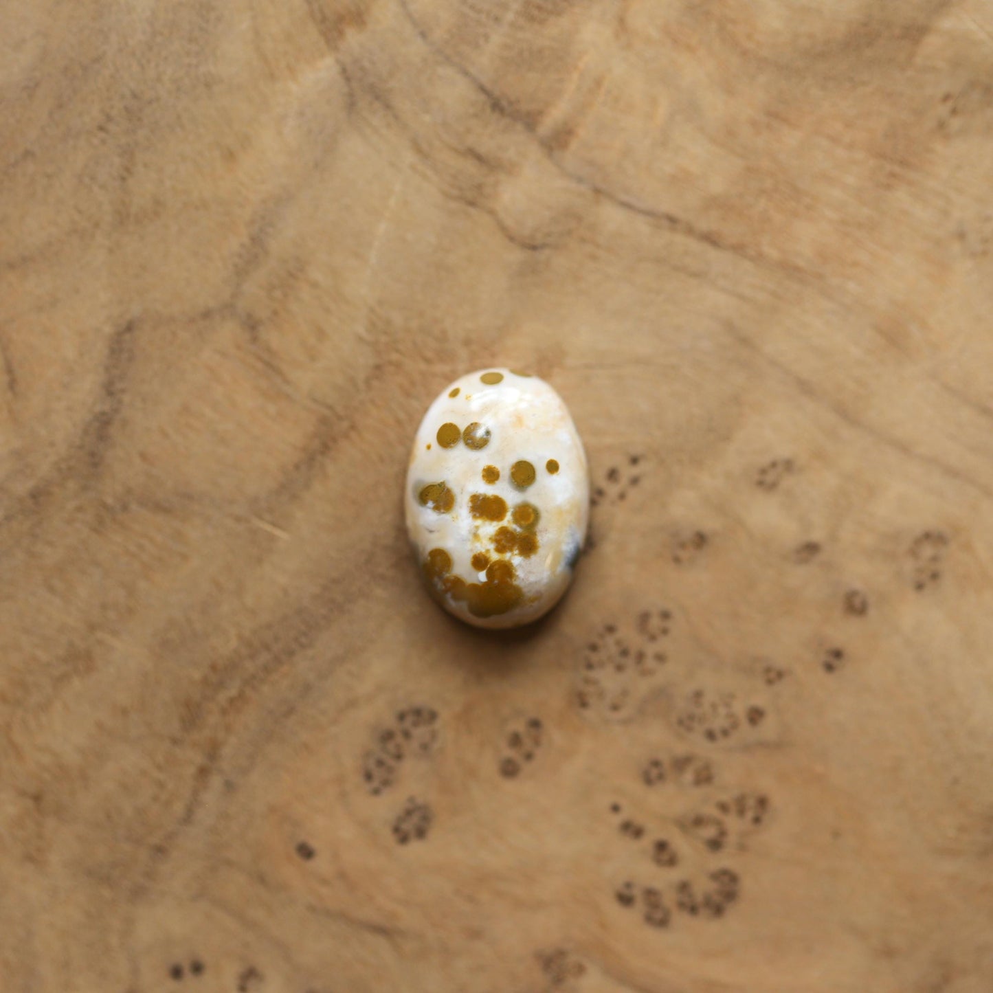 Ocean Jasper Statement Ring – Sterling Silver, Choose Your Stone
