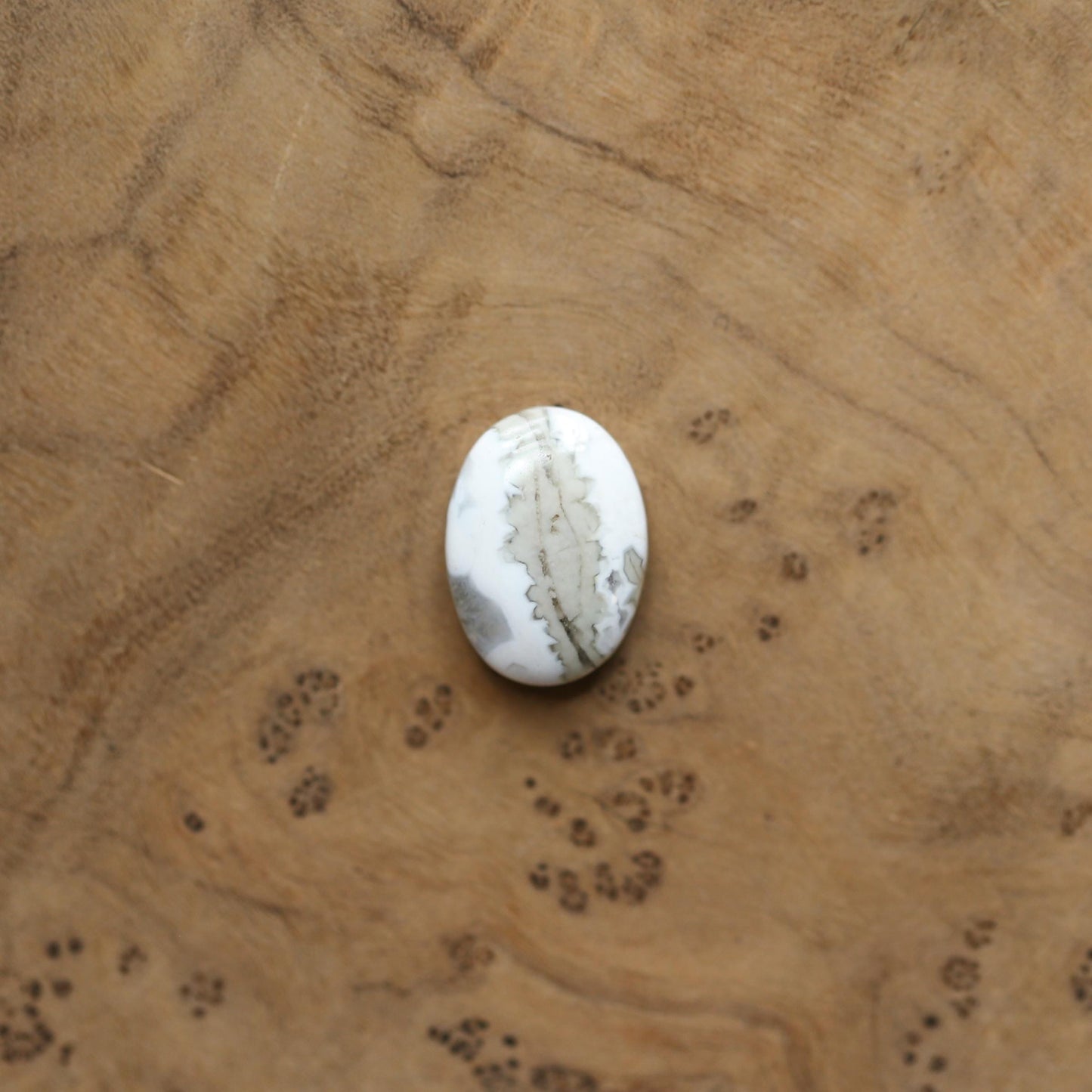 Ocean Jasper Statement Ring – Sterling Silver, Choose Your Stone
