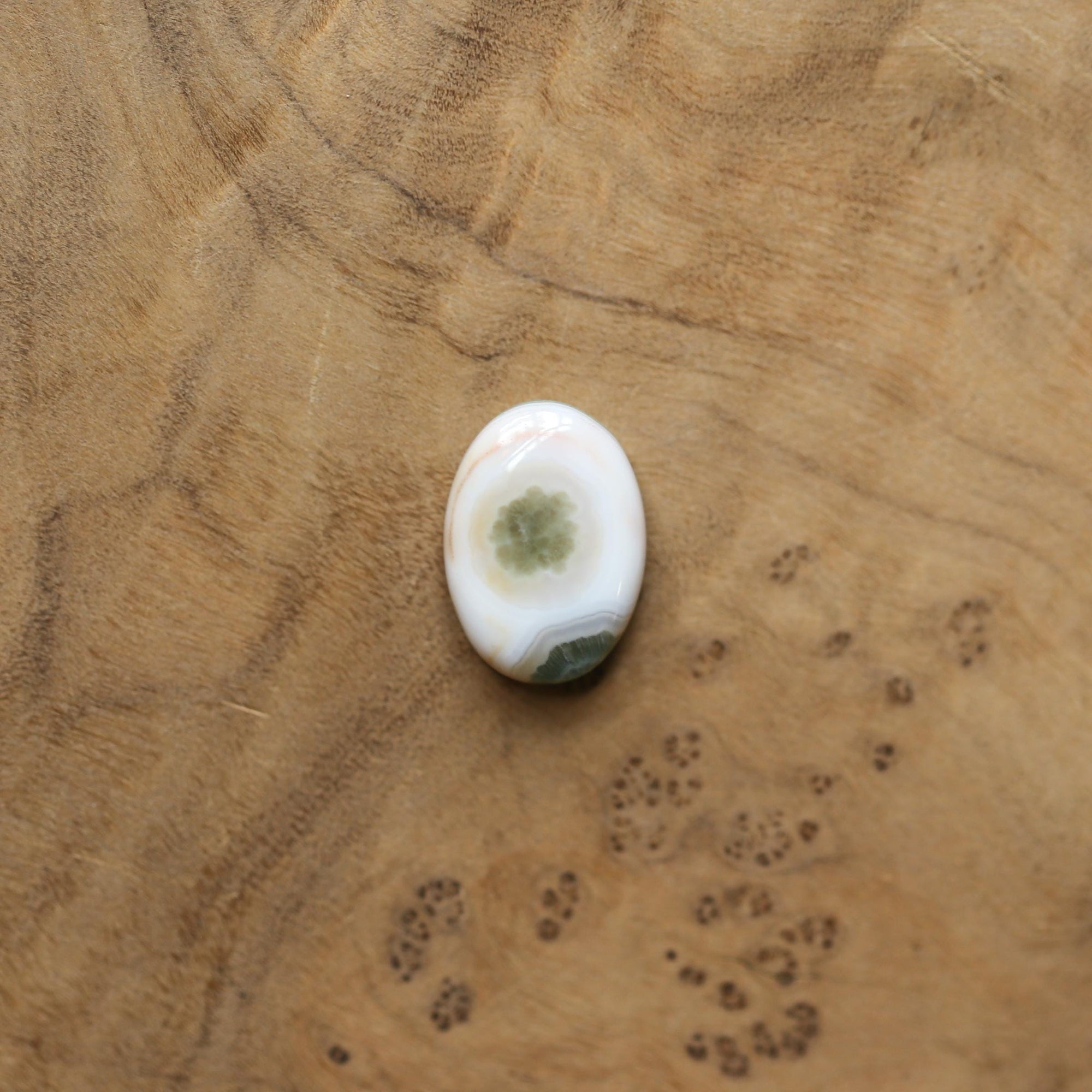 Ocean Jasper Lasso Ring - Ocean Jasper Ring - Choose your own stone - Sterling Silver Ring