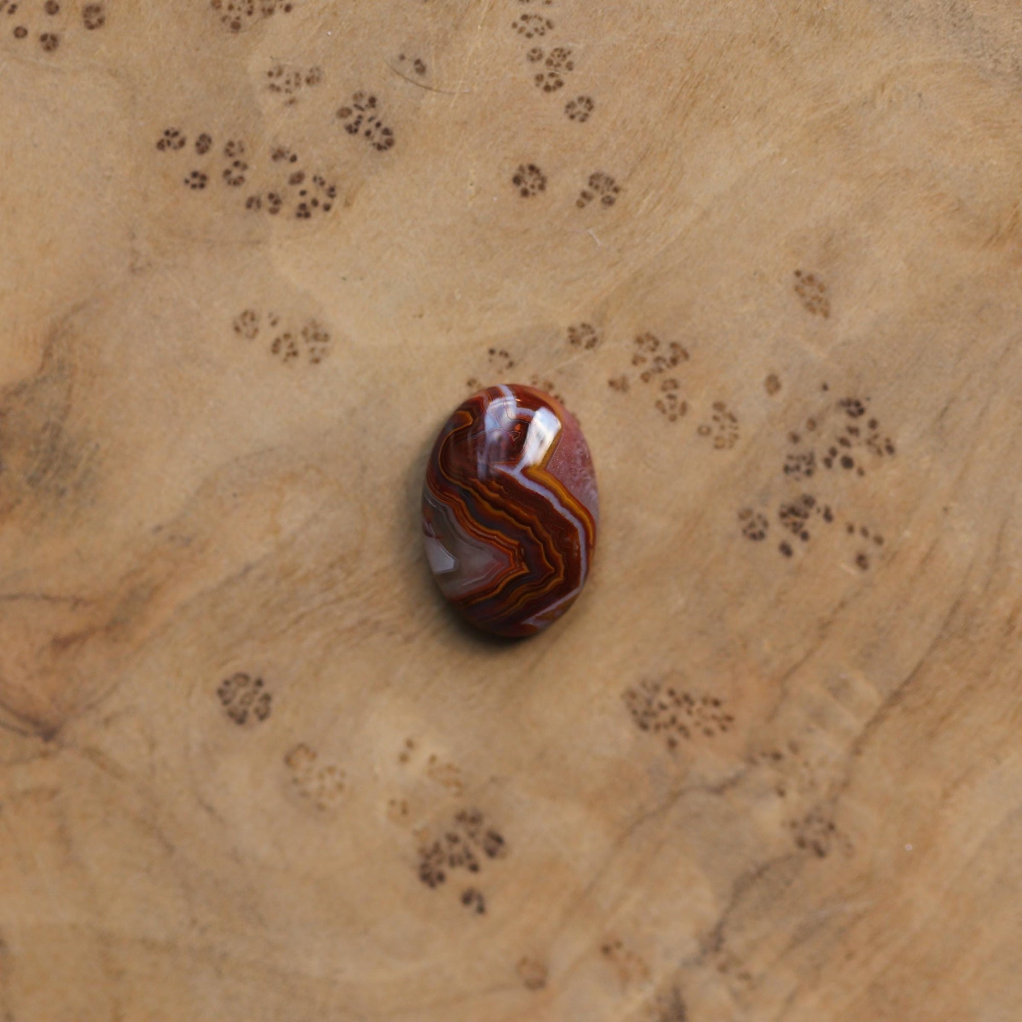 Laguna Lace Agate Lasso Ring - .925 Sterling Silver - Choose Your Own Stone - Silversmith Ring