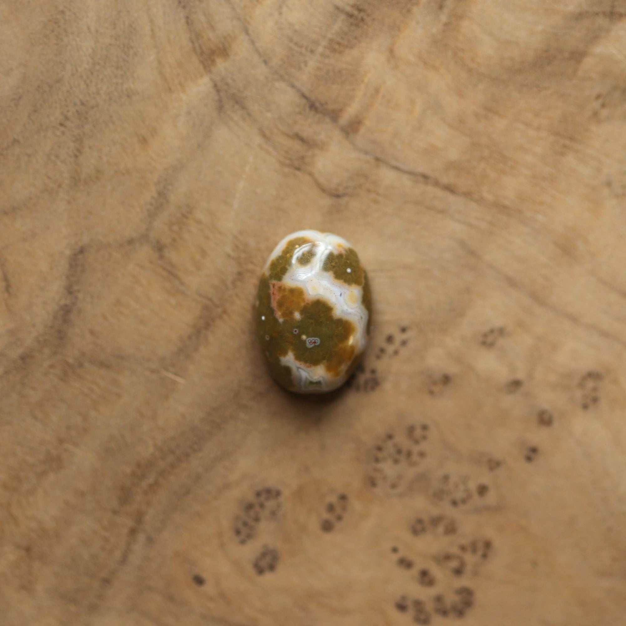 Ocean Jasper Lasso Ring - Ocean Jasper Ring - Choose your own stone - Sterling Silver Ring