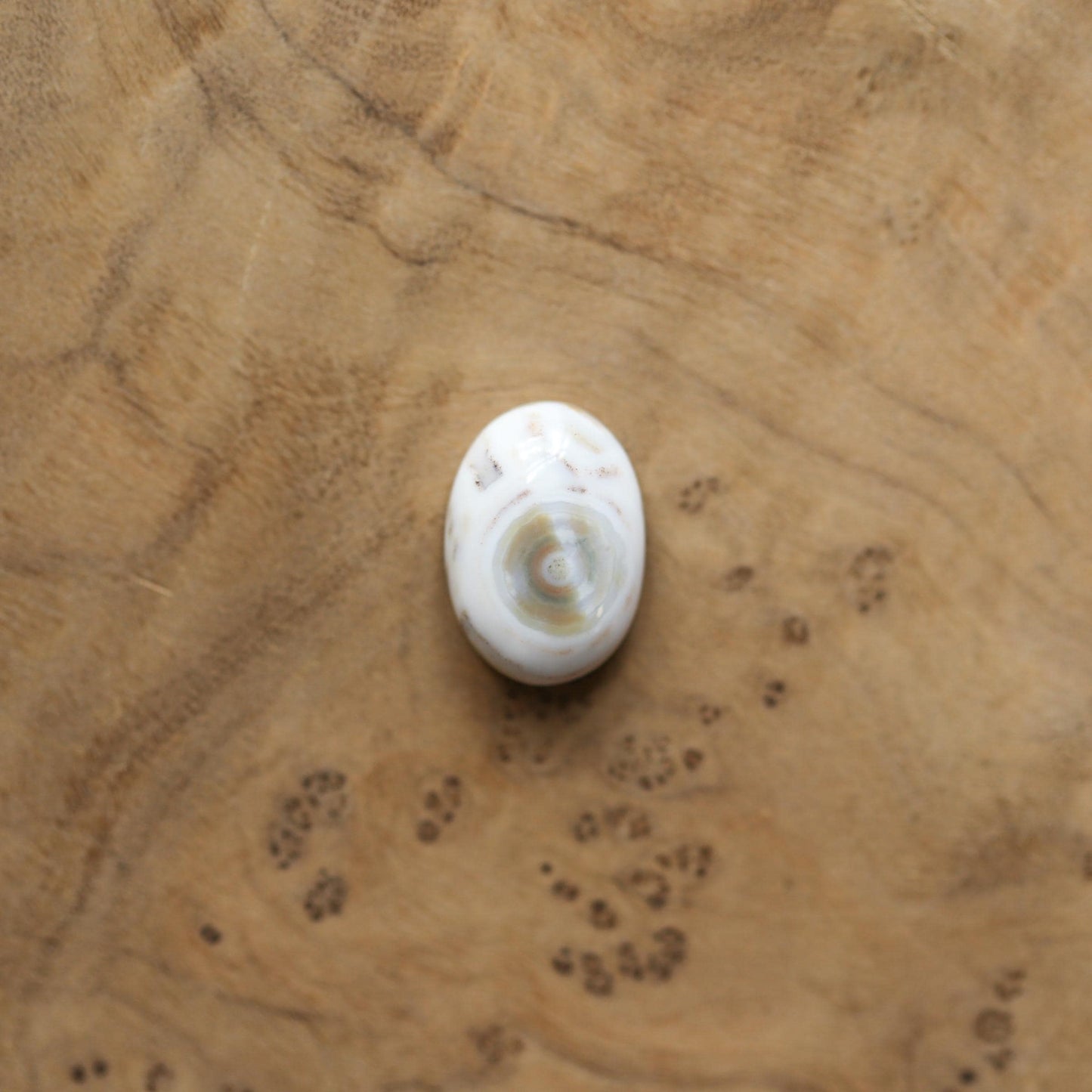 Ocean Jasper Statement Ring – Sterling Silver, Choose Your Stone