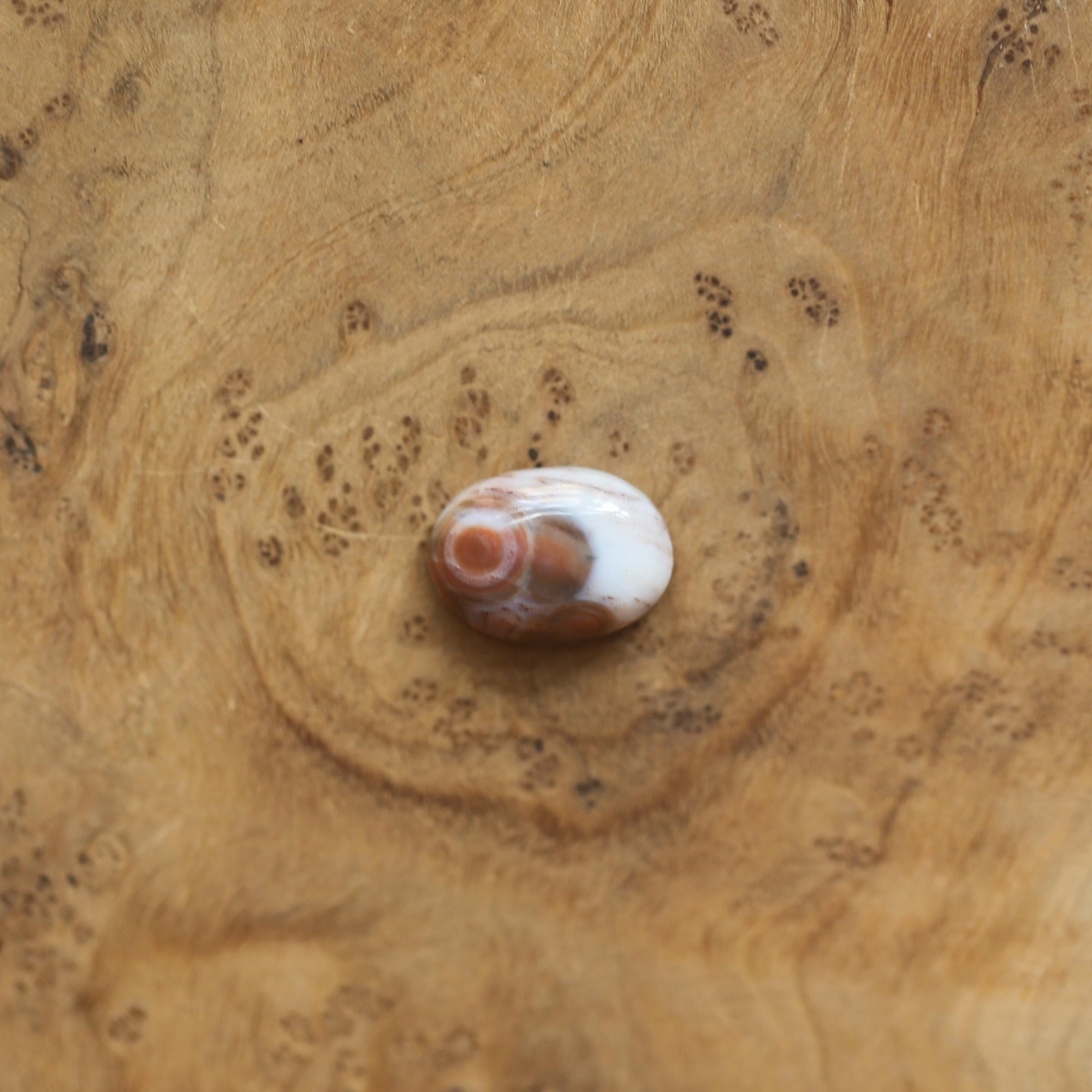 Ocean Jasper Link Bracelet - Sterling Silver Chain Bracelet - Choose Your Stone