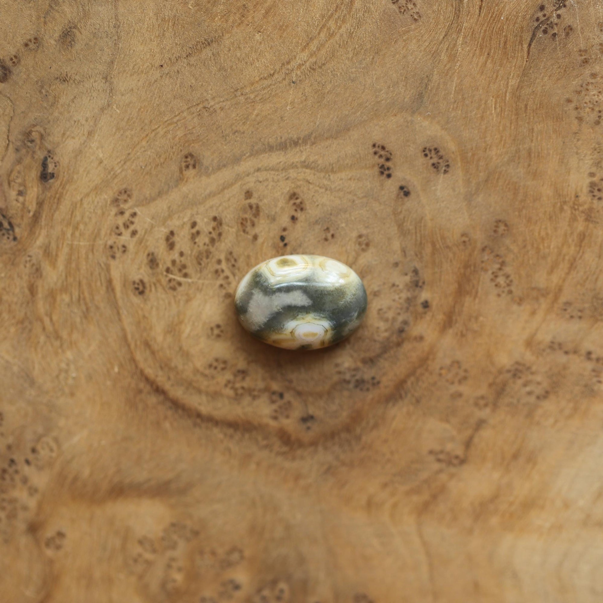 Ocean Jasper Link Bracelet - Sterling Silver Chain Bracelet - Choose Your Stone