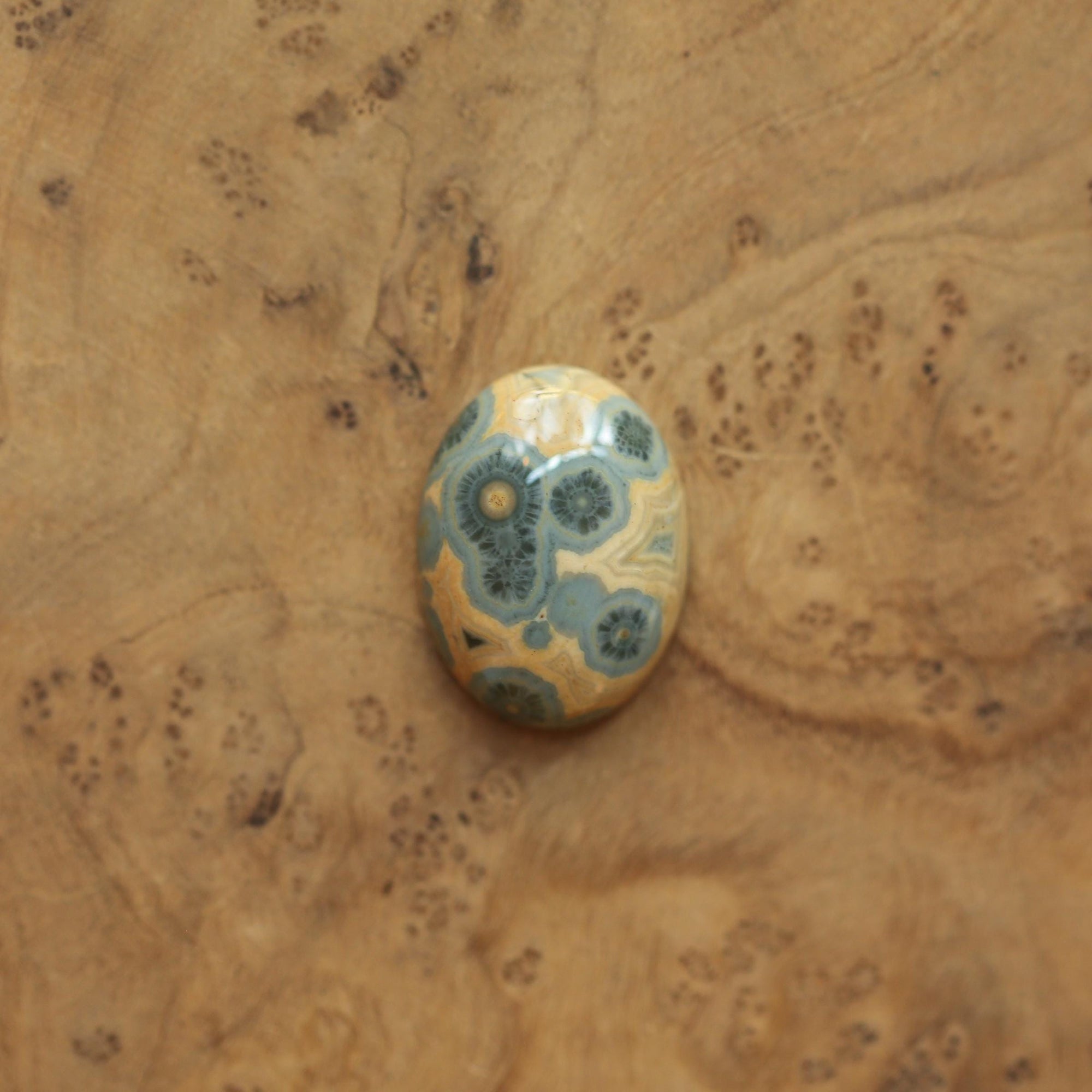 Custom Ocean Jasper Ring - Choose Your AAA Stone - Sterling Silver