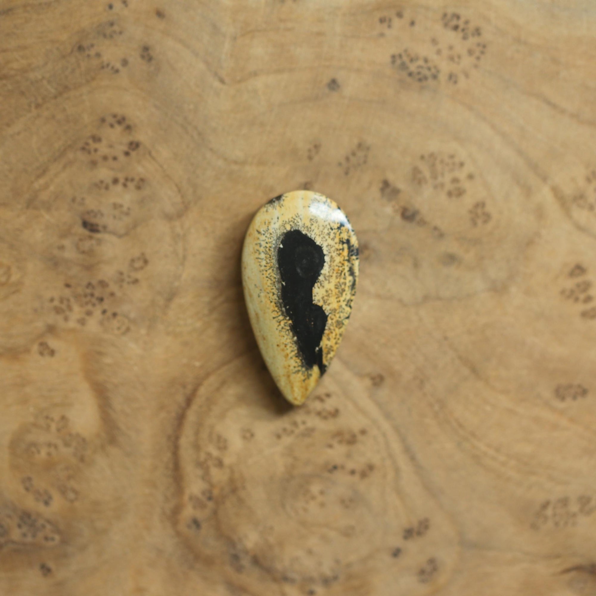 Paintbrush Jasper Pendant - Sterling Silver - Choose Your Stone